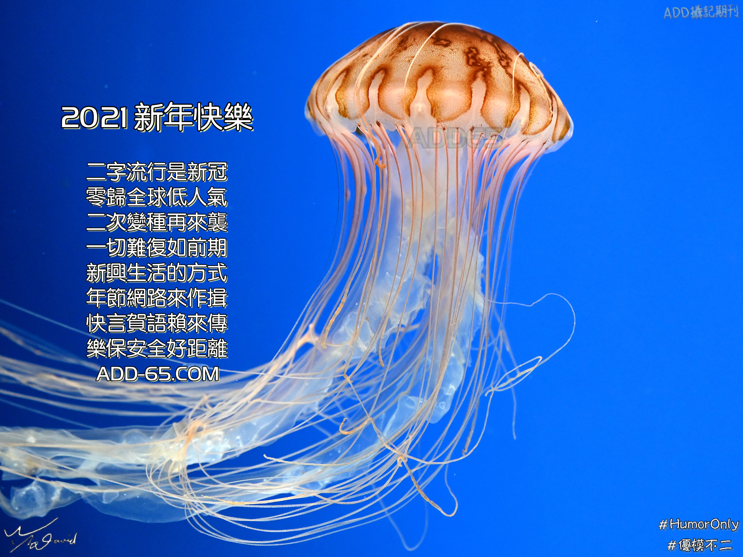 2021新年快樂