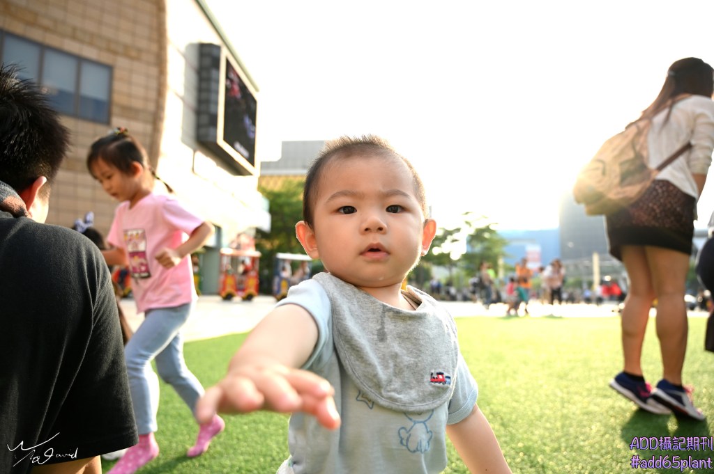 做你人生的導演