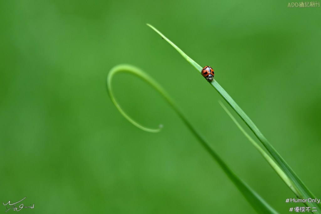優模不二攝記理念