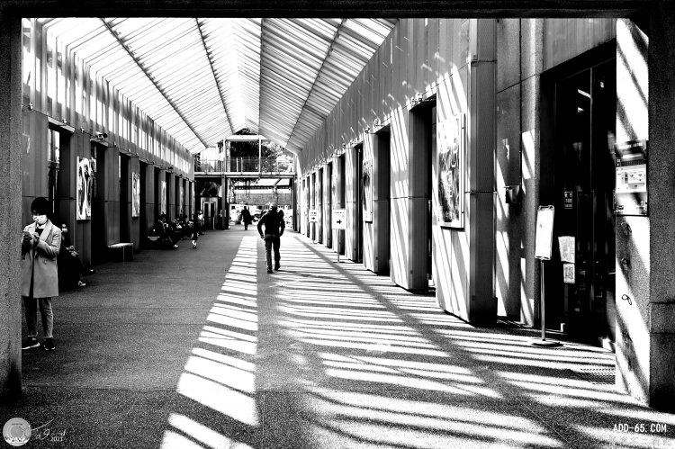 E_20210114_211619_DSC_0210