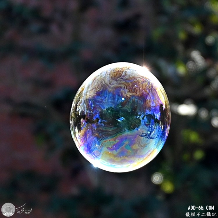 E_20210114_213716_DSC_0227