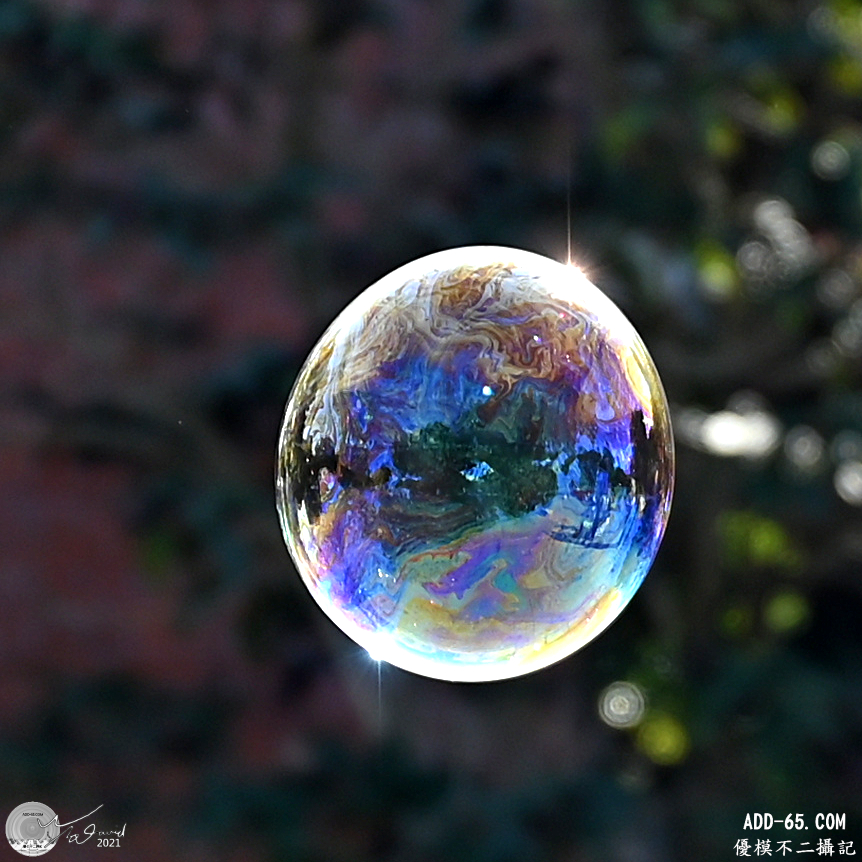 美麗地球的啟示