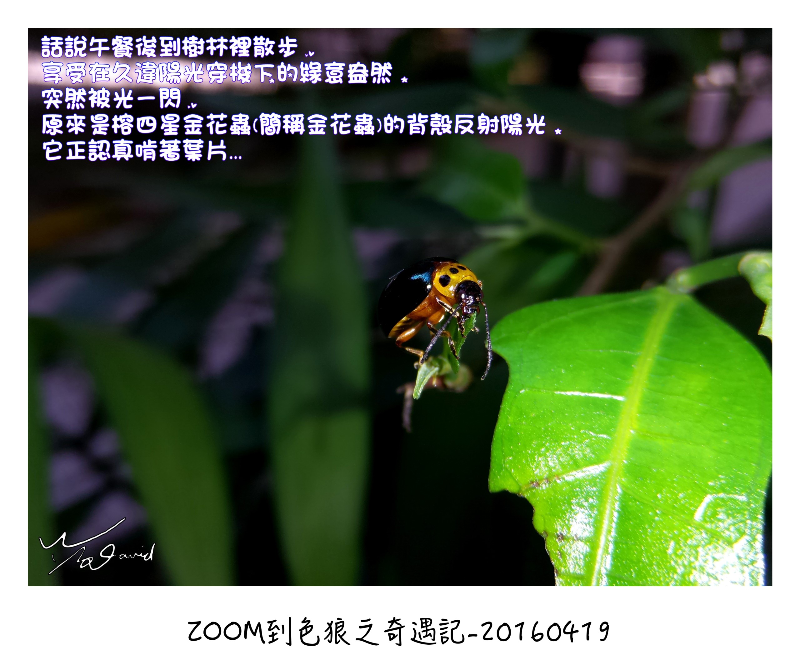 ZOOM到色狼之奇遇記