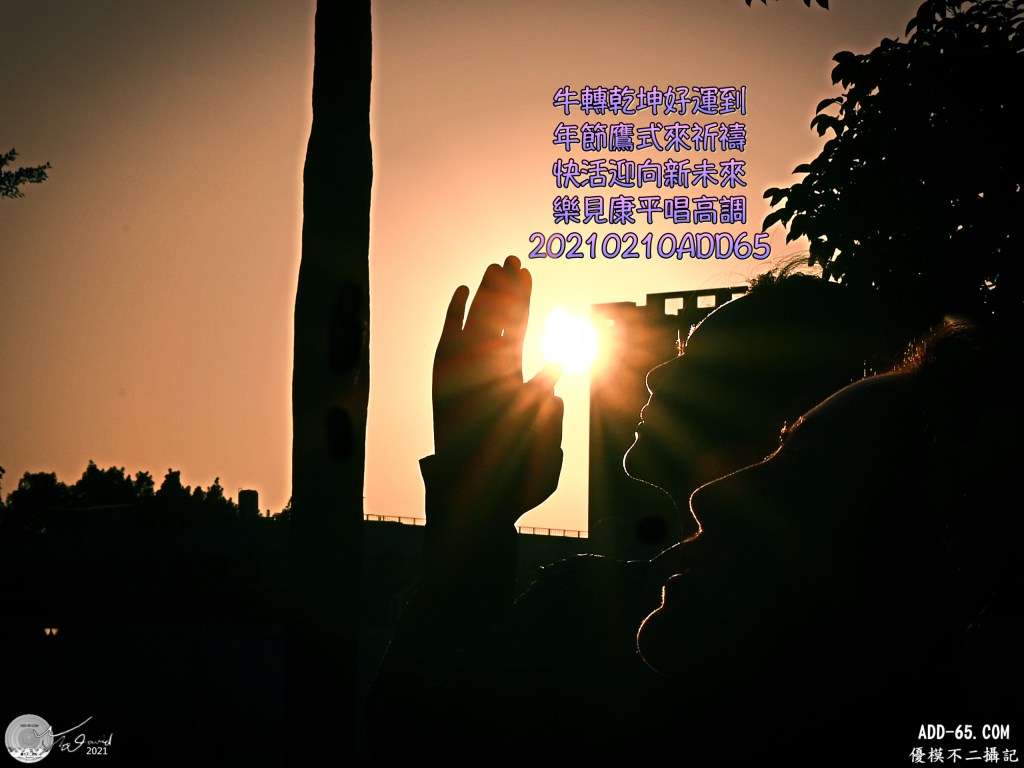 牛年快樂賀新春