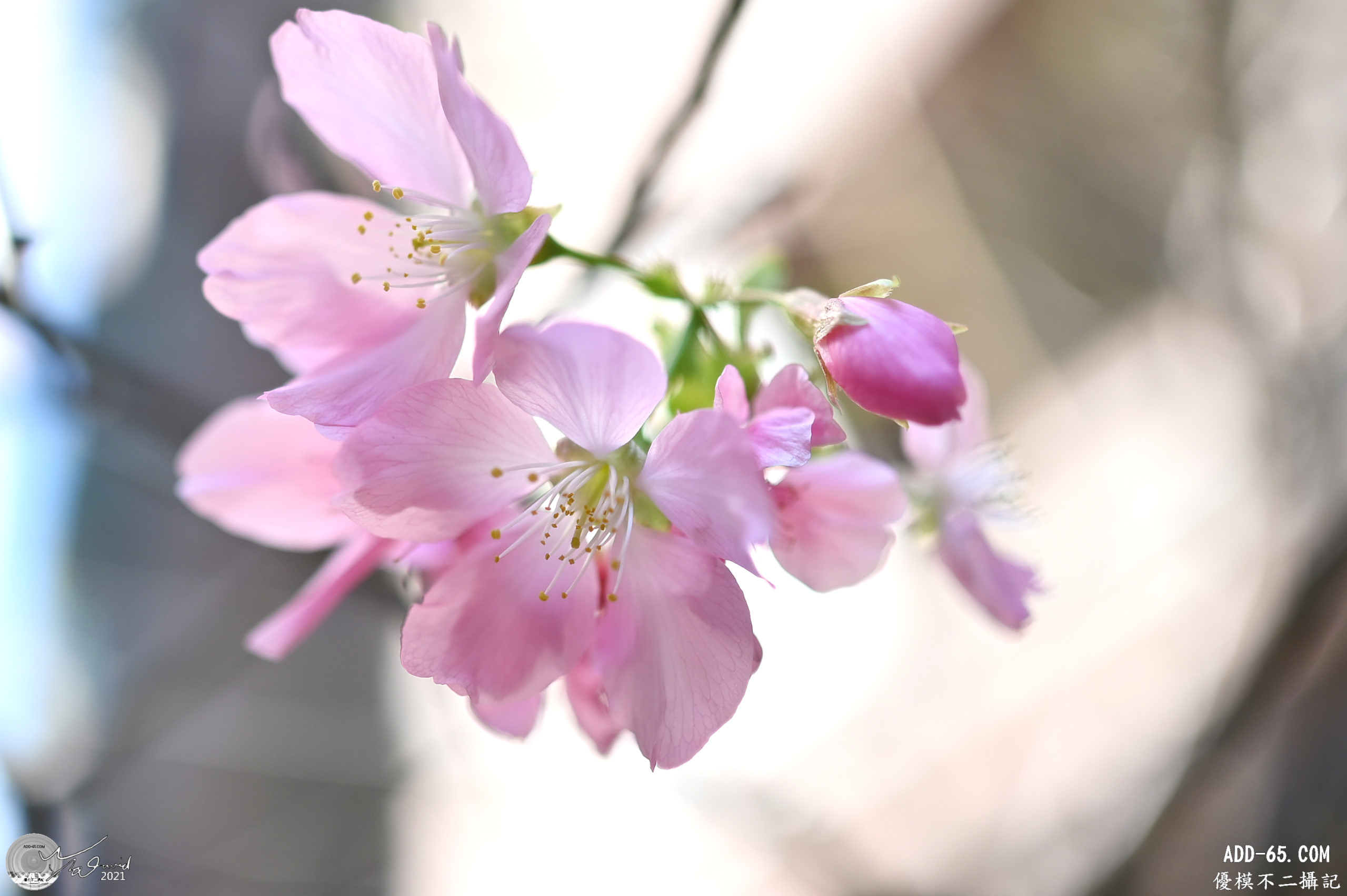 E_20210224_163804_DSC_2973