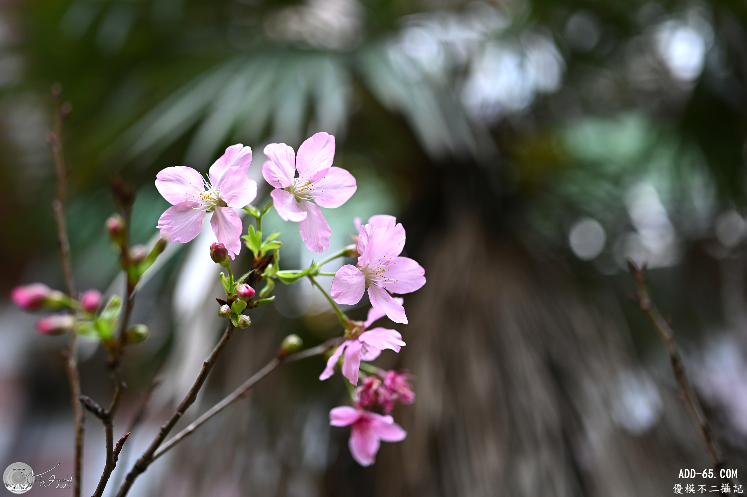 E_20210224_164640_DSC_2983