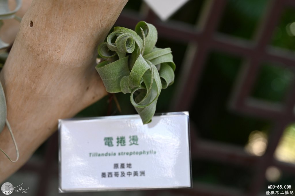 E_20210506_095647_DSC_8231