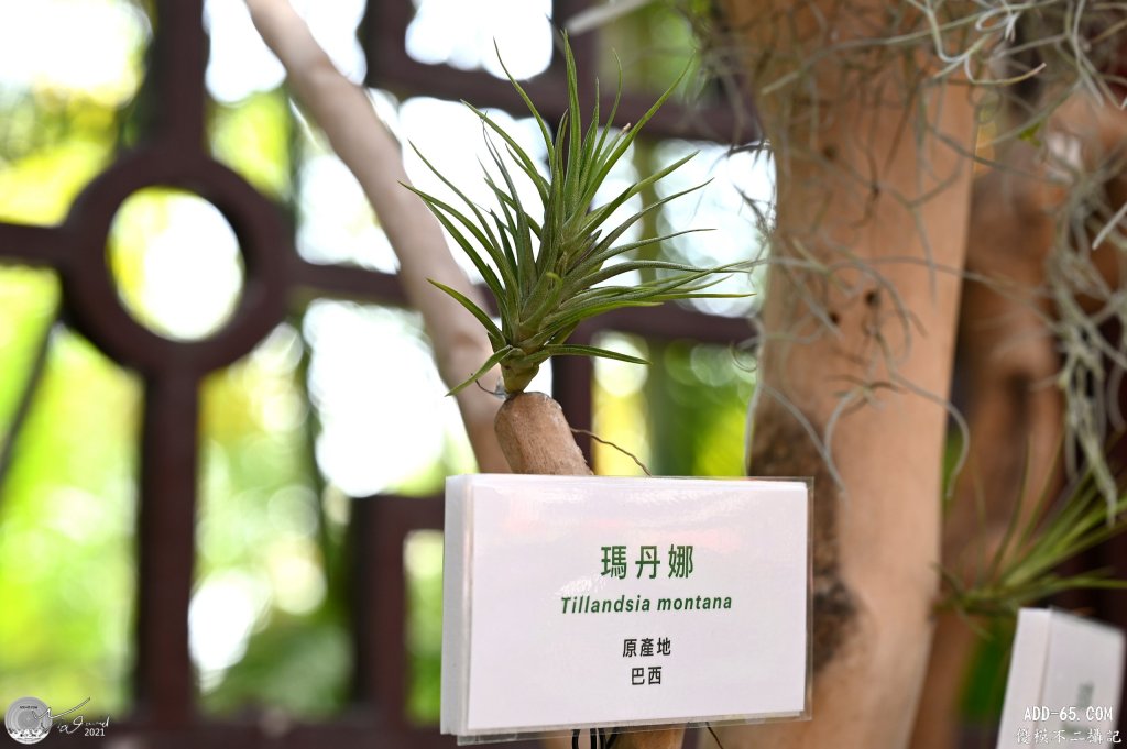 E_20210506_094919_DSC_8217