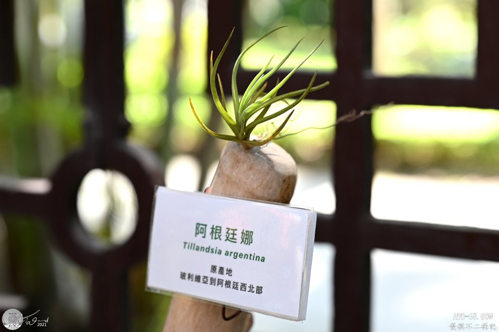 E_20210506_094807_DSC_8215