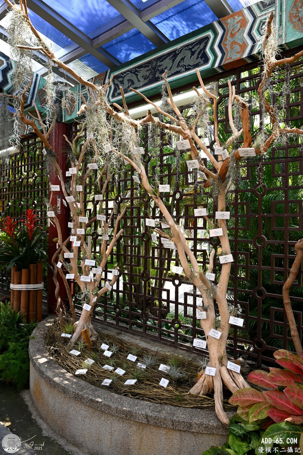 E_20210505_214435_DSC_8214