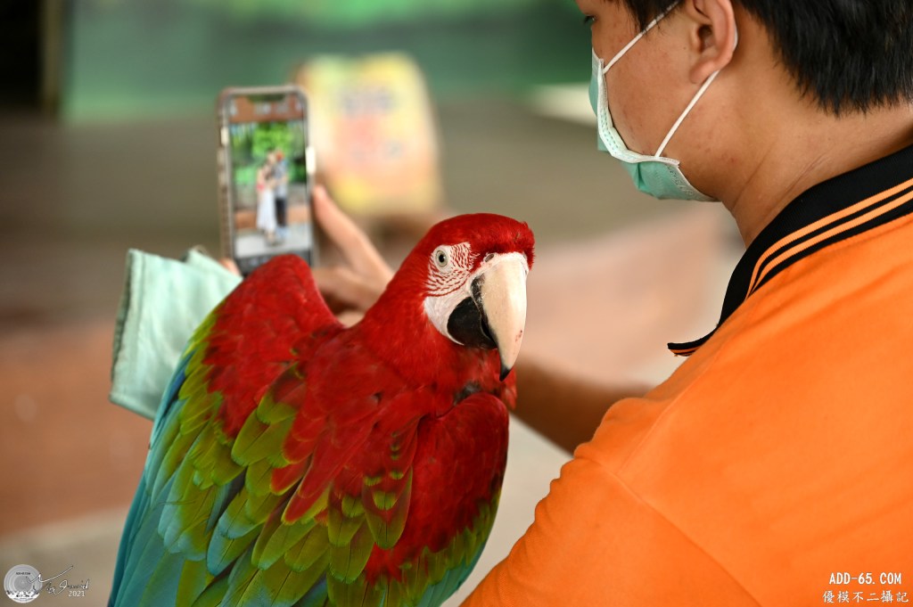 頻率的閱聽與感受