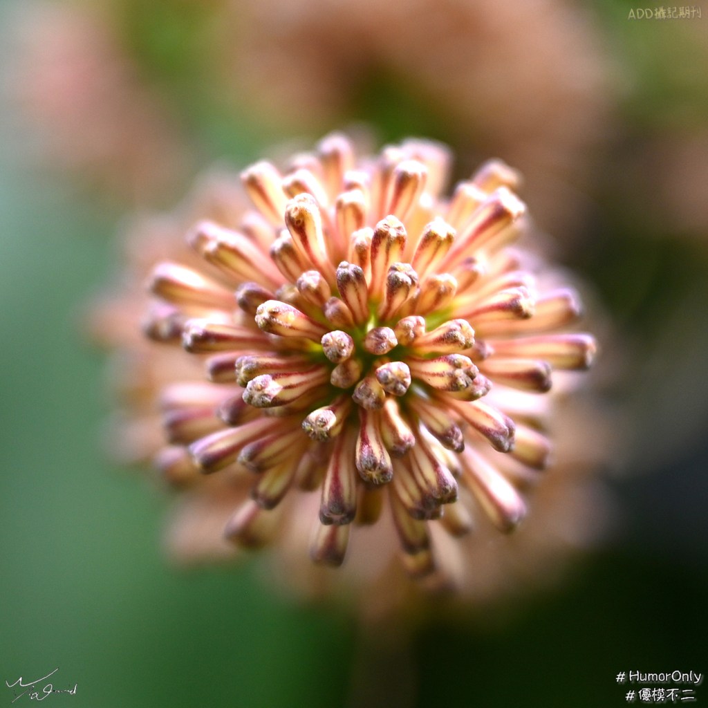 圓形結構體(五)