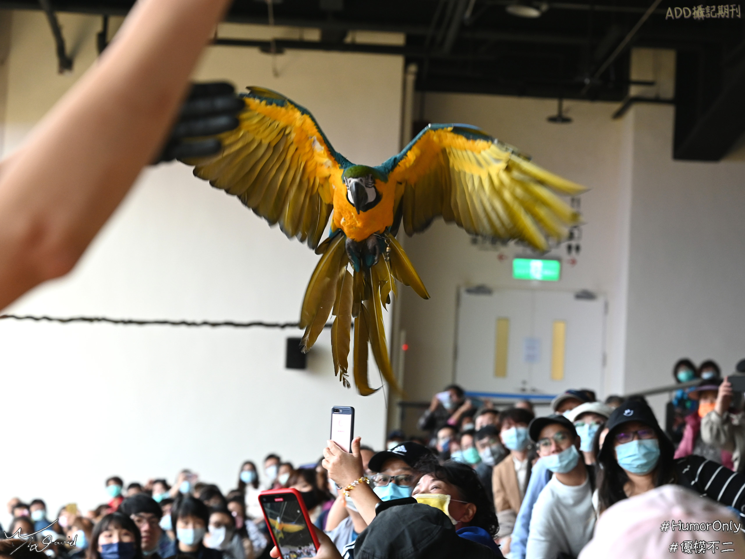 E_20201129_204041_DSC_8211