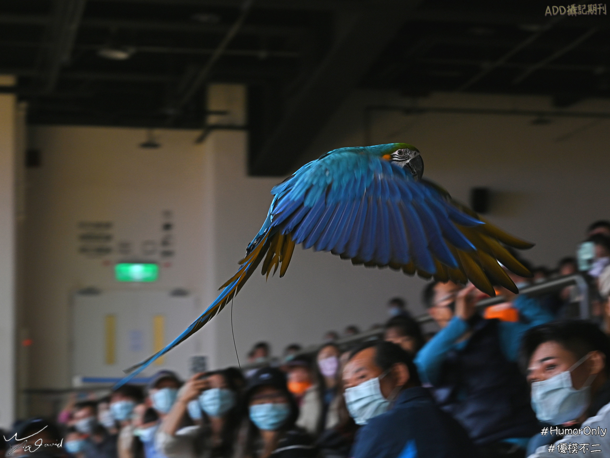 E_20201129_204535_DSC_8222