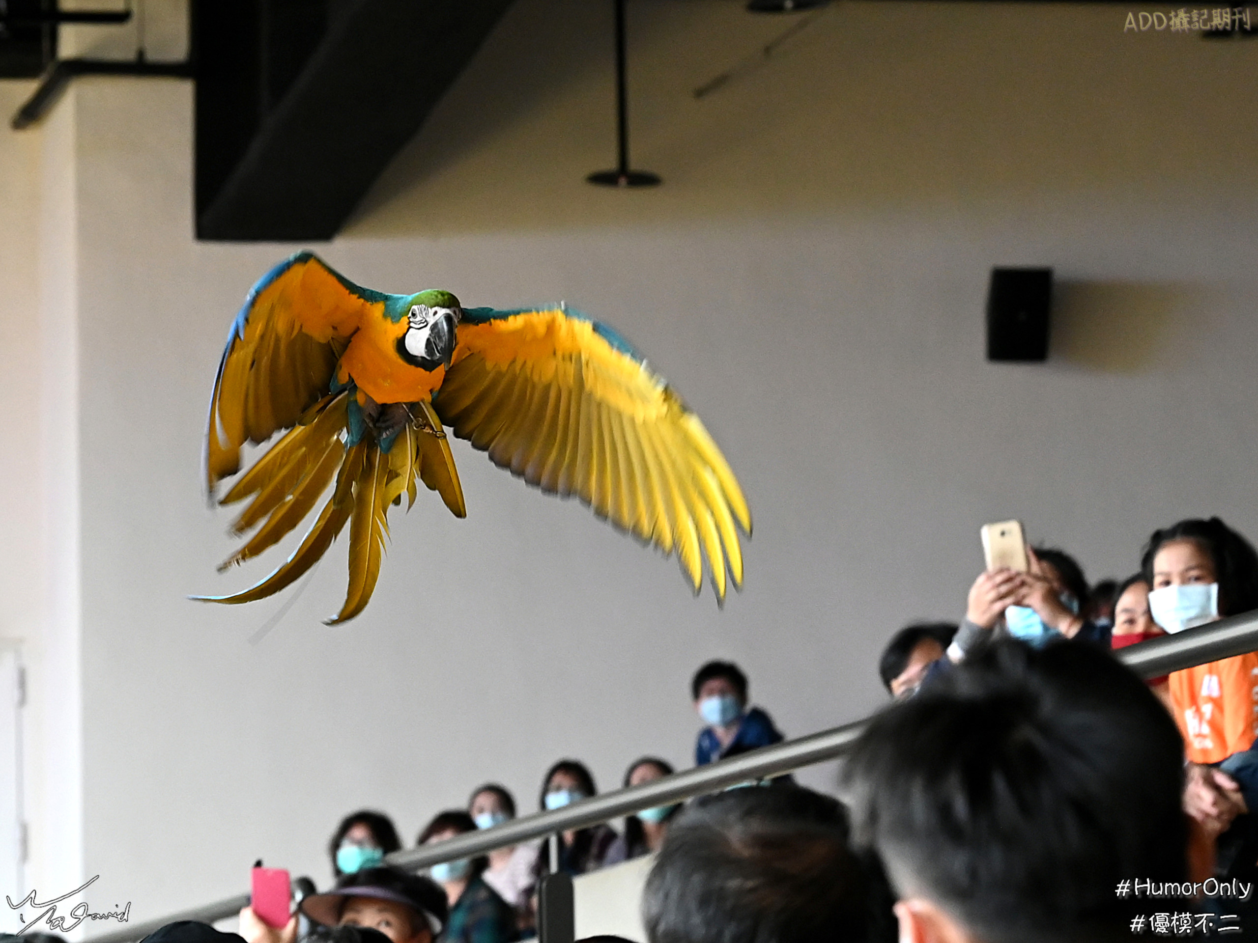 E_20201129_205011_DSC_8233