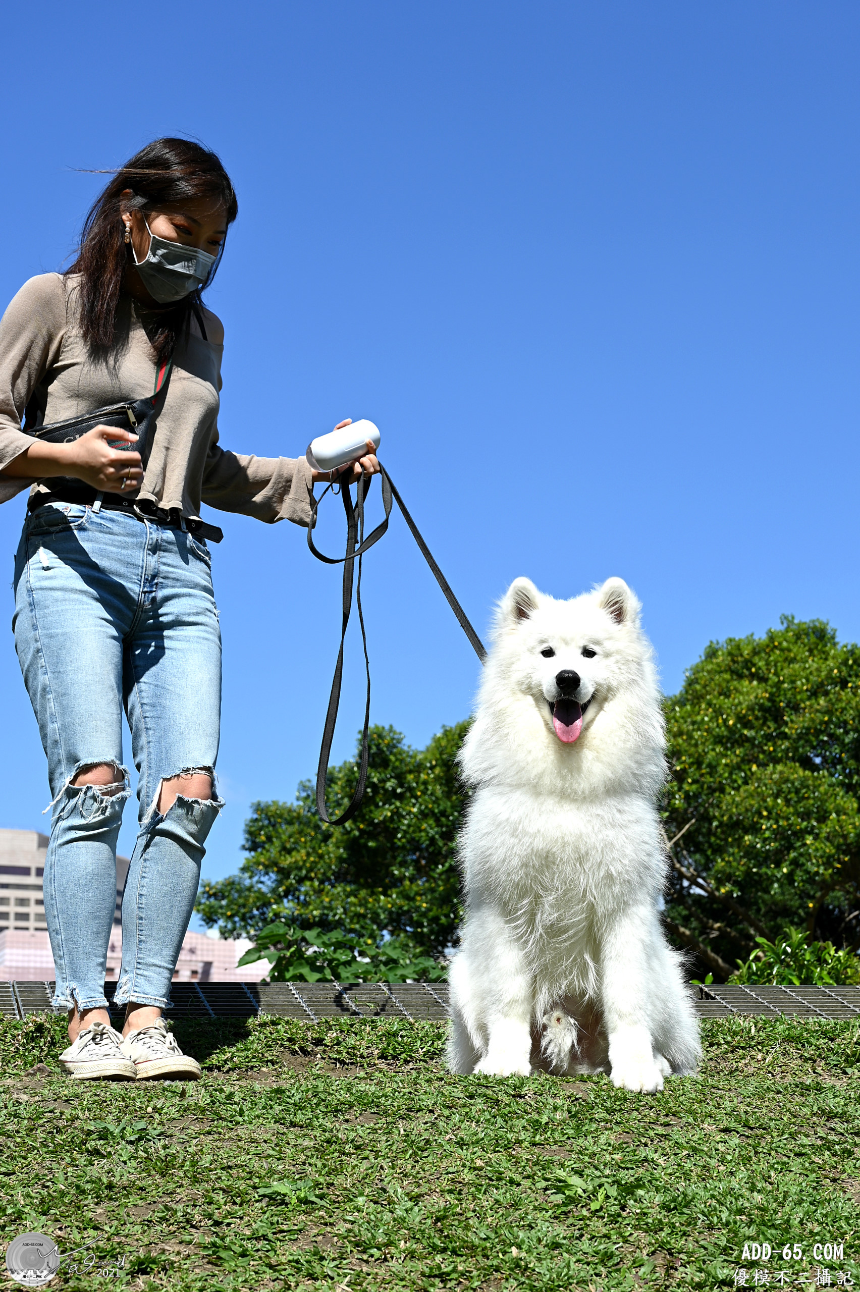 動物篇-狗