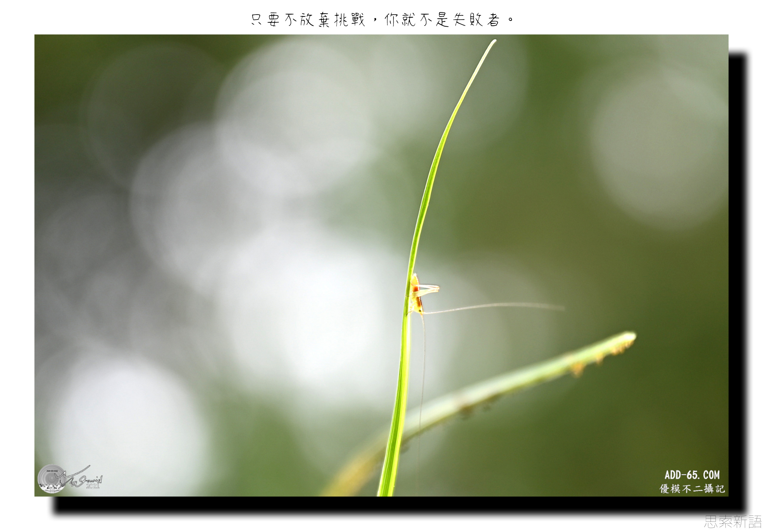 不斷挑戰