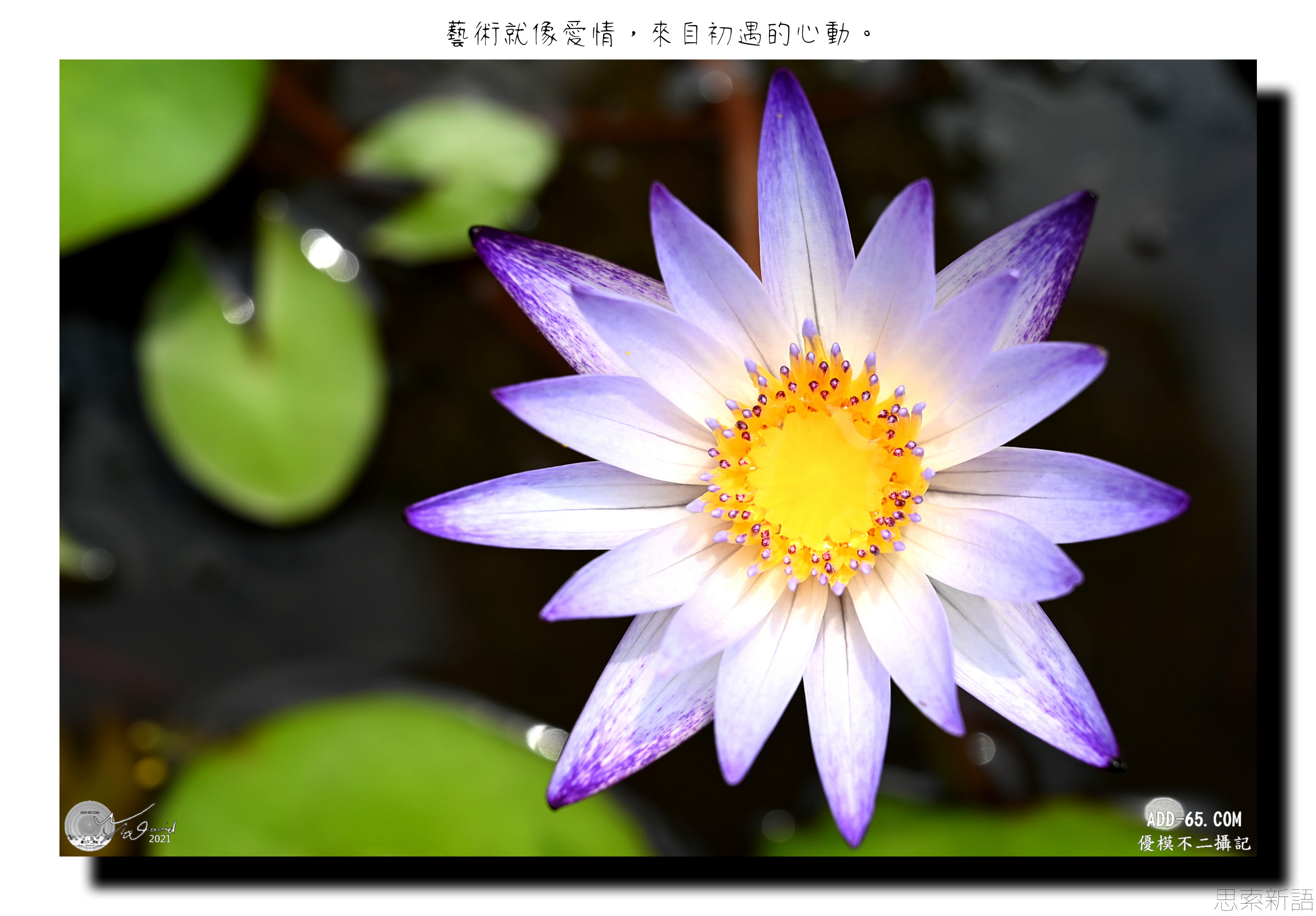 藝術初心