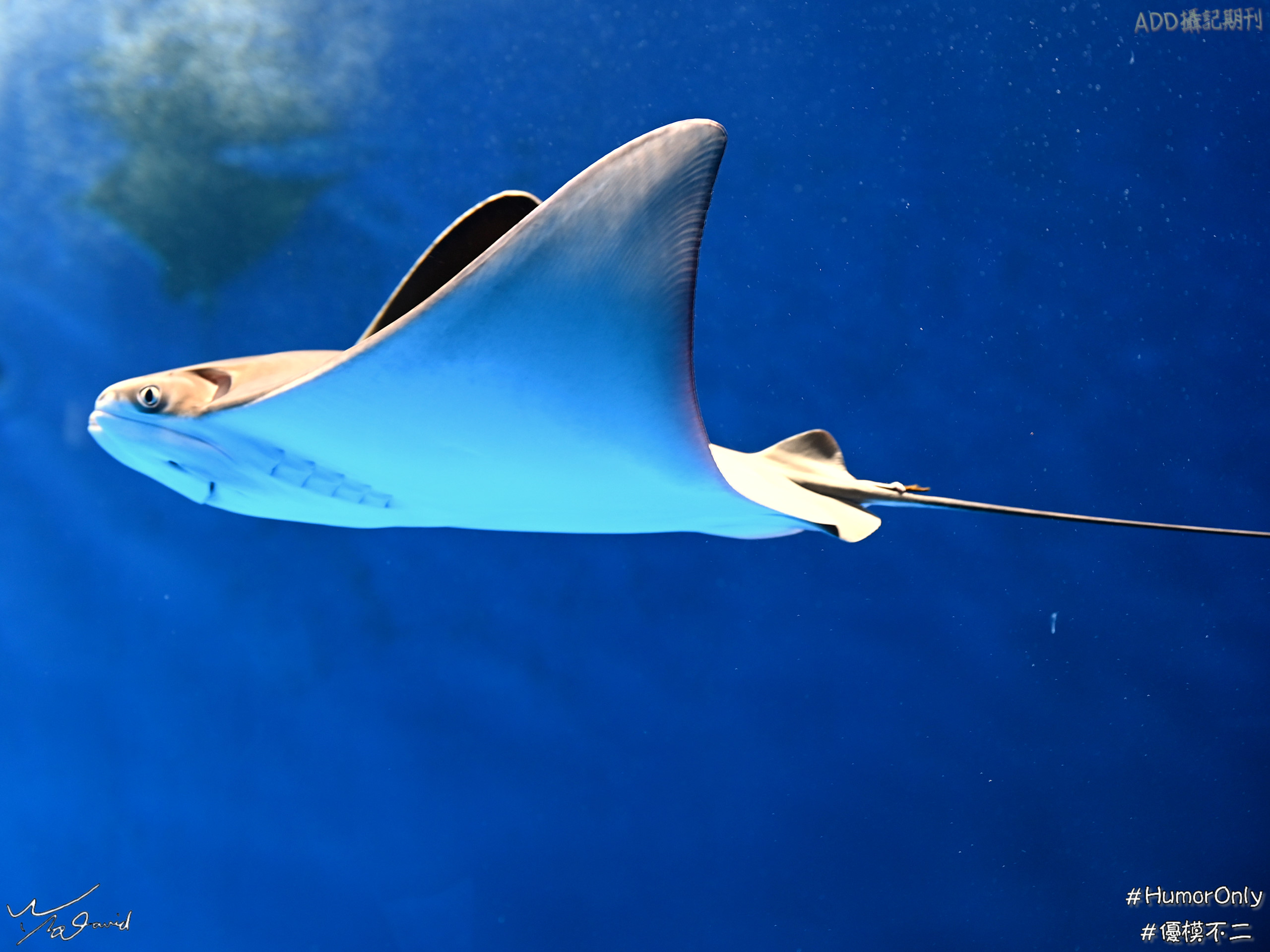 E_20201128_105310_DSC_7940