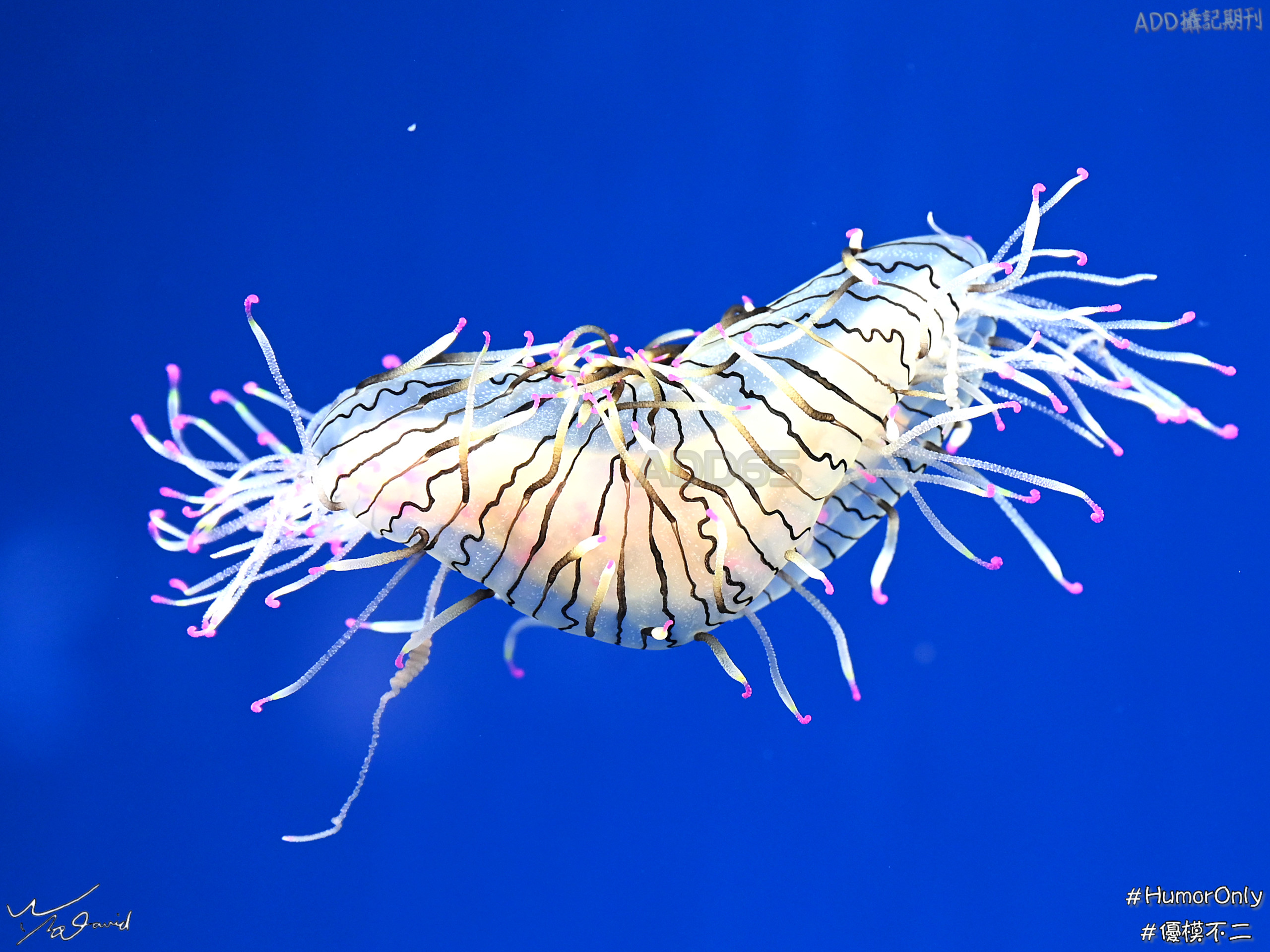 E_20201129_144701_DSC_8149