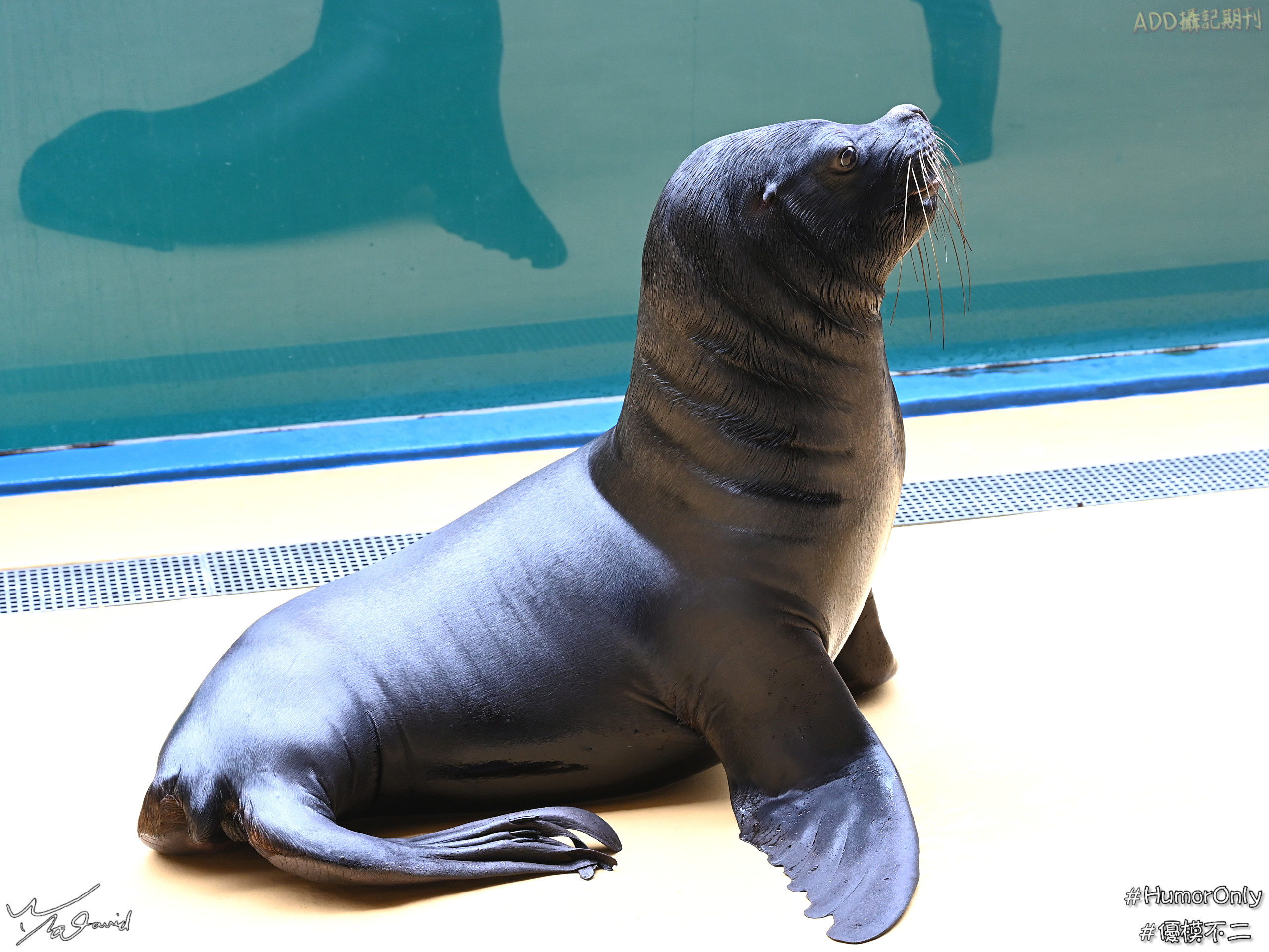 E_20201129_210722_DSC_8267