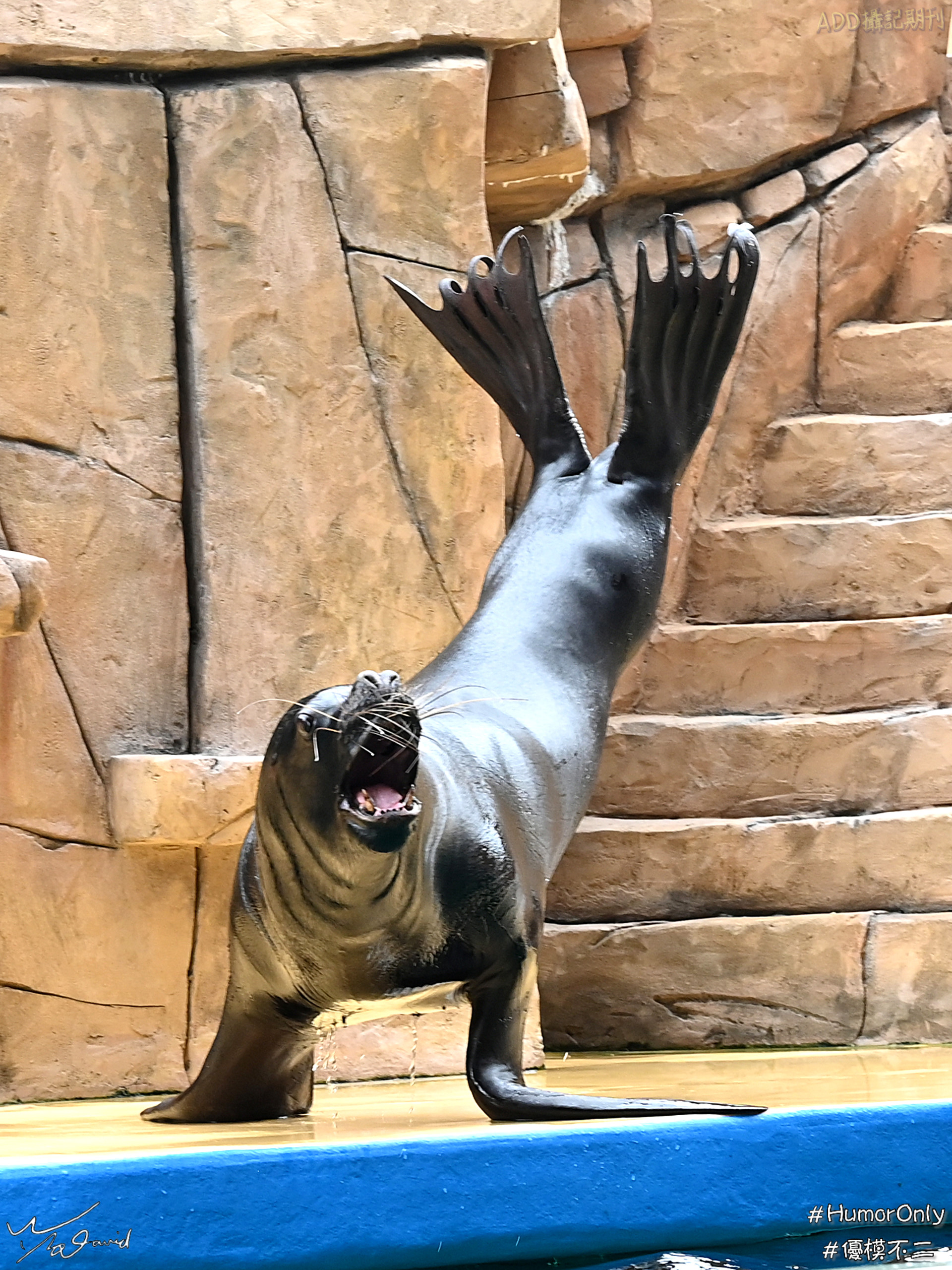 E_20201129_211047_DSC_8275