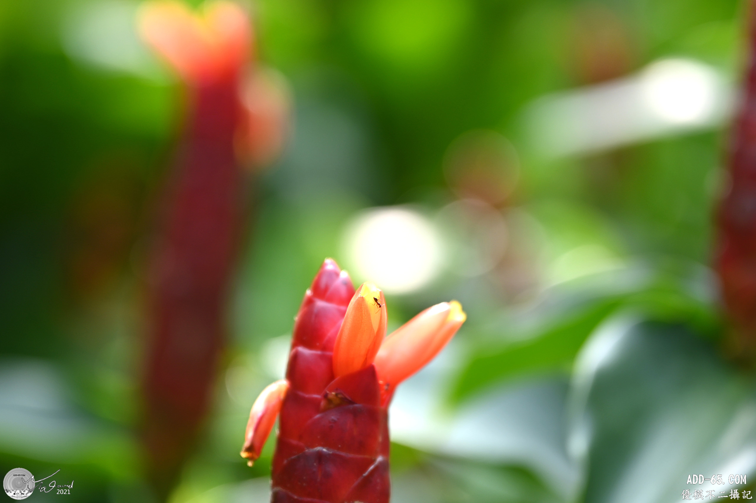 E_20210819_142155_DSC_9085