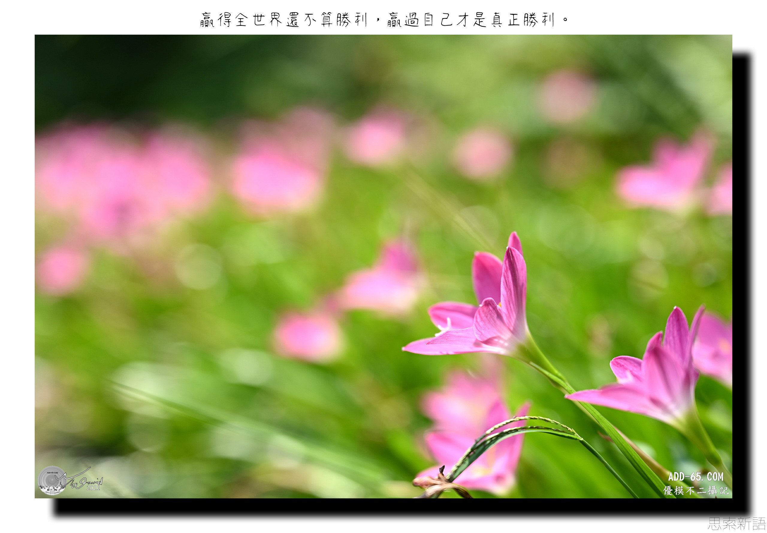 勝利的本質