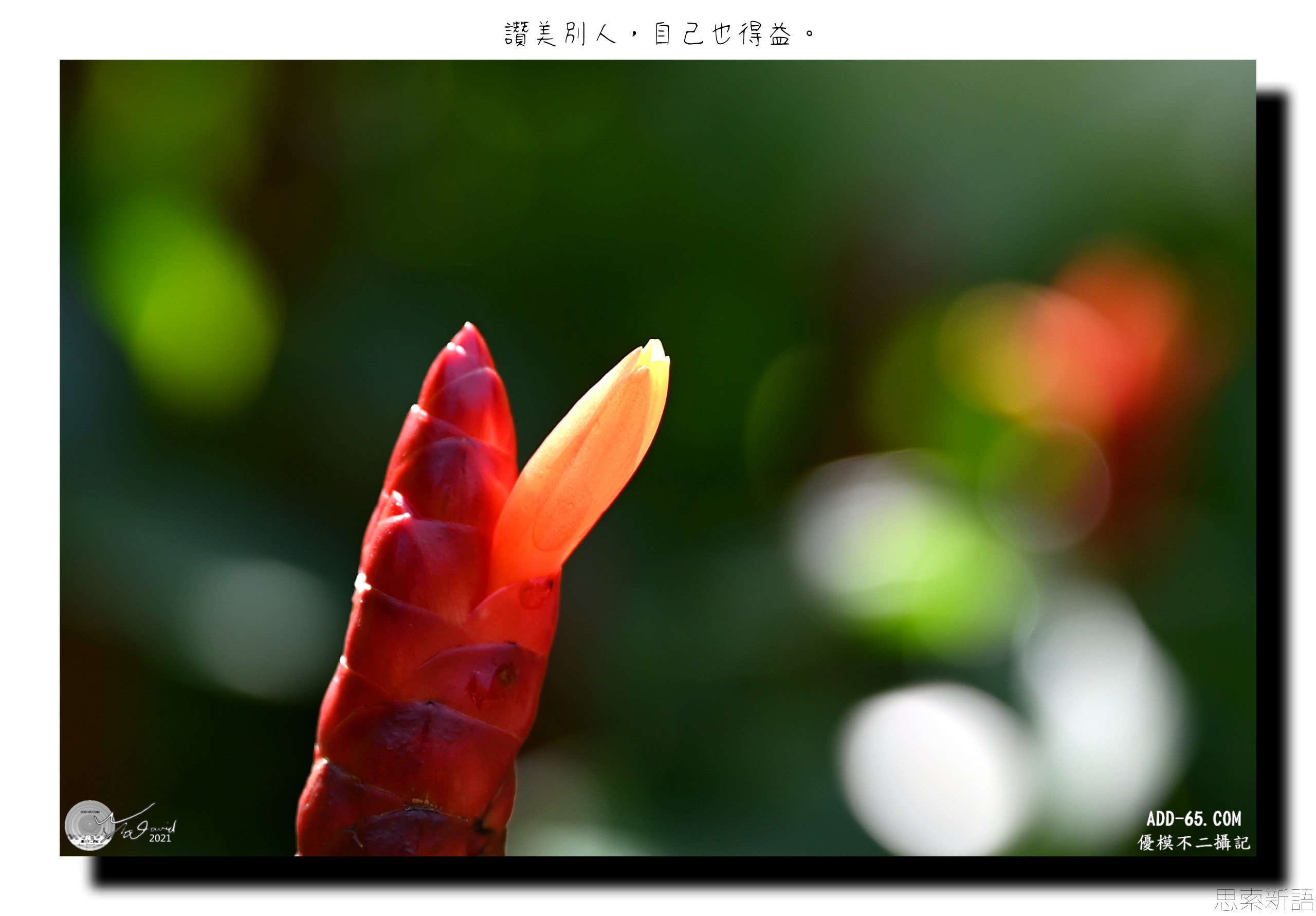 讚美是魔法