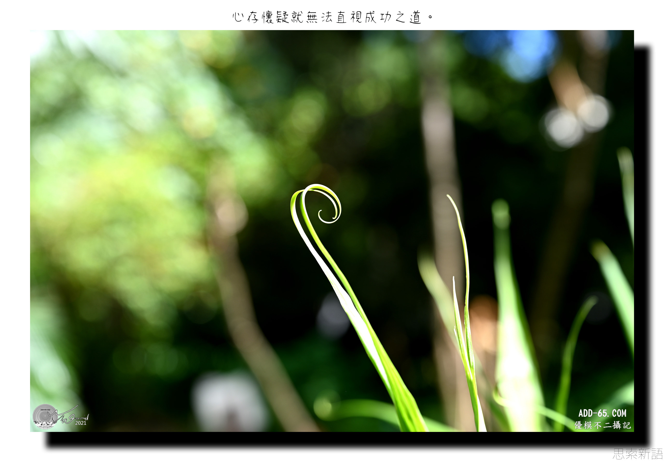 看穿幻影
