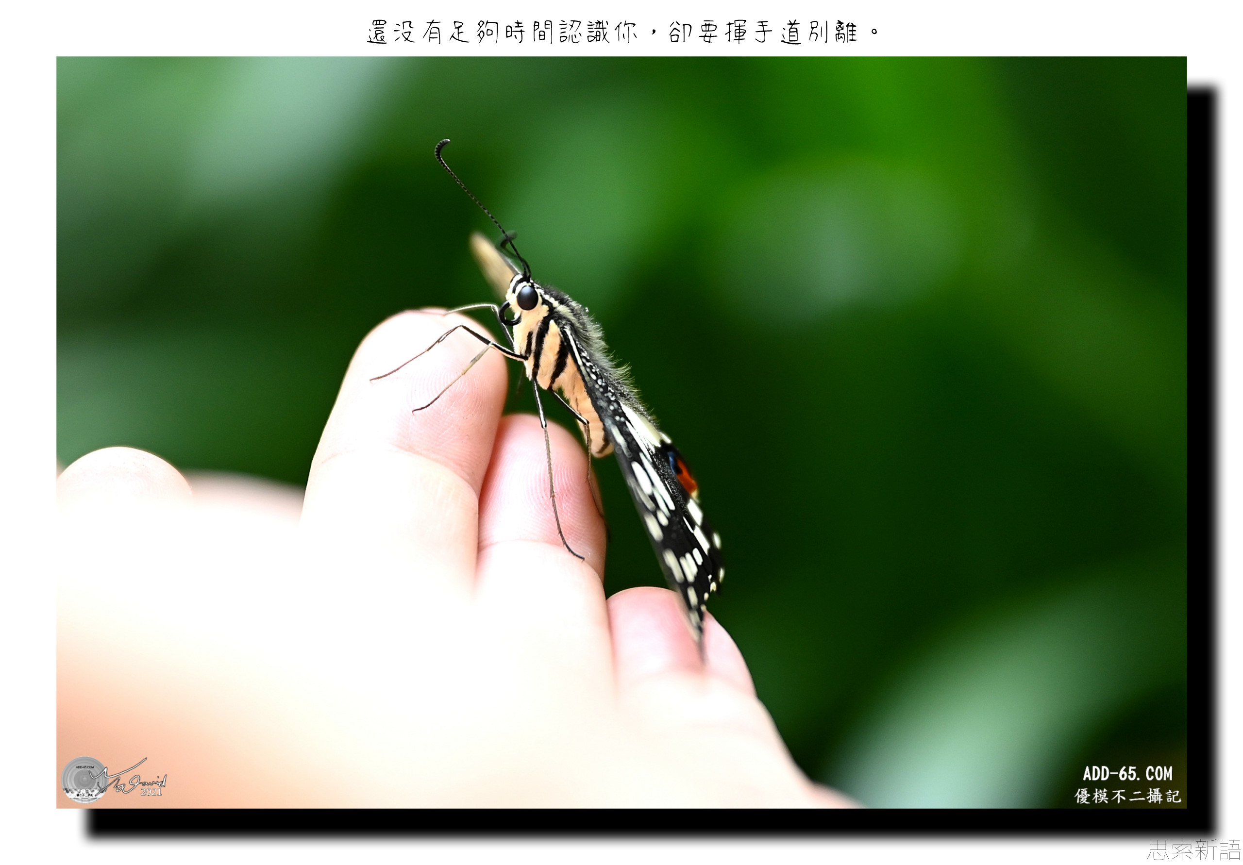 捨與不捨