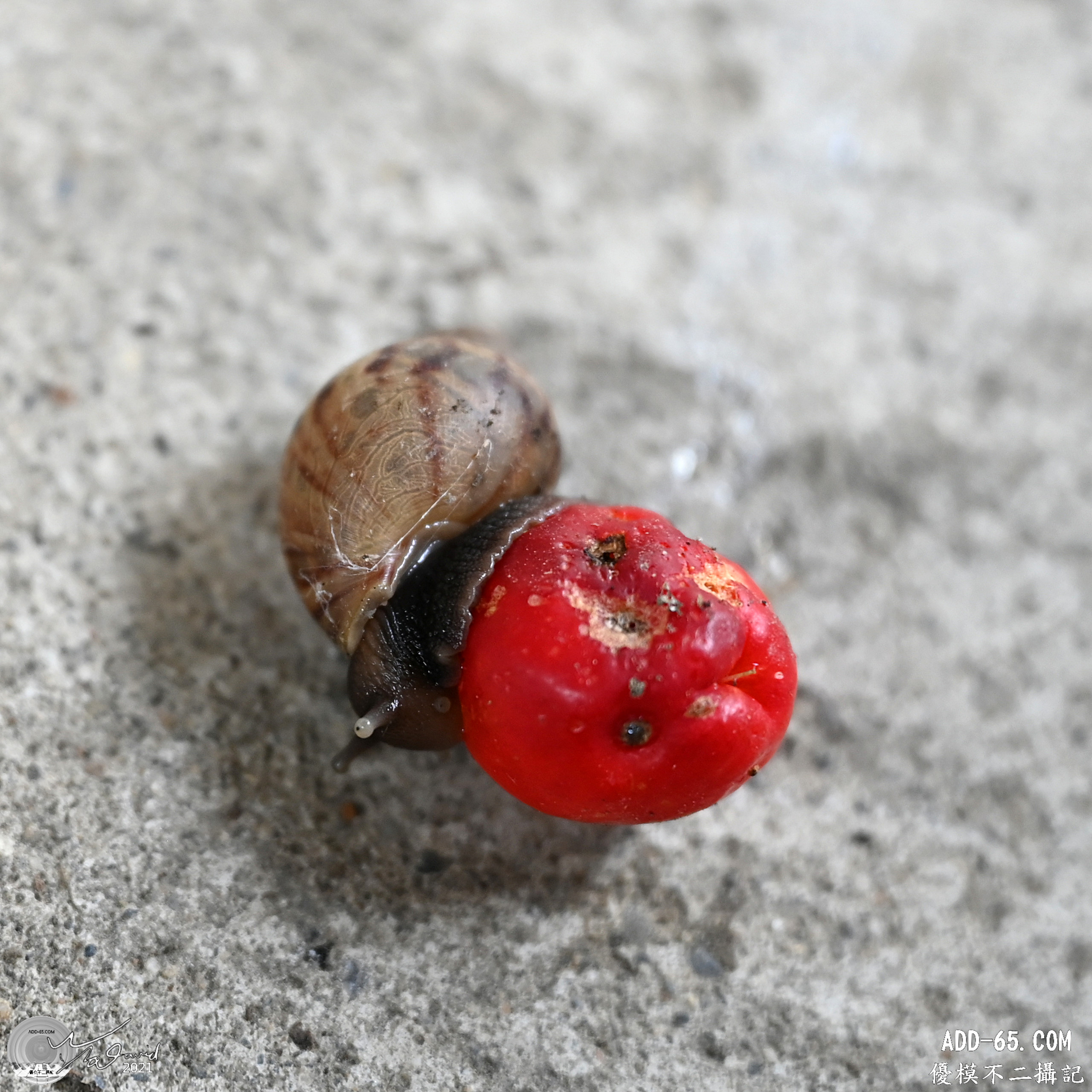 E_20210910_213724_DSC_9368