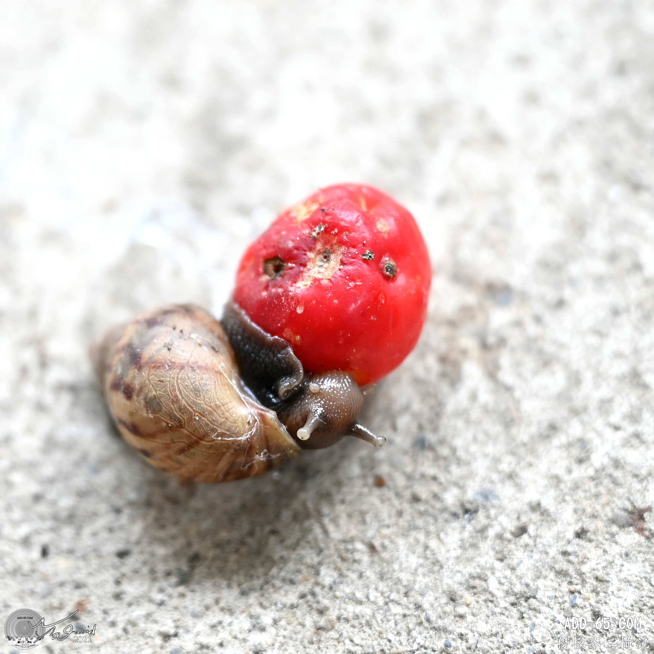 E_20210910_214053_DSC_9370