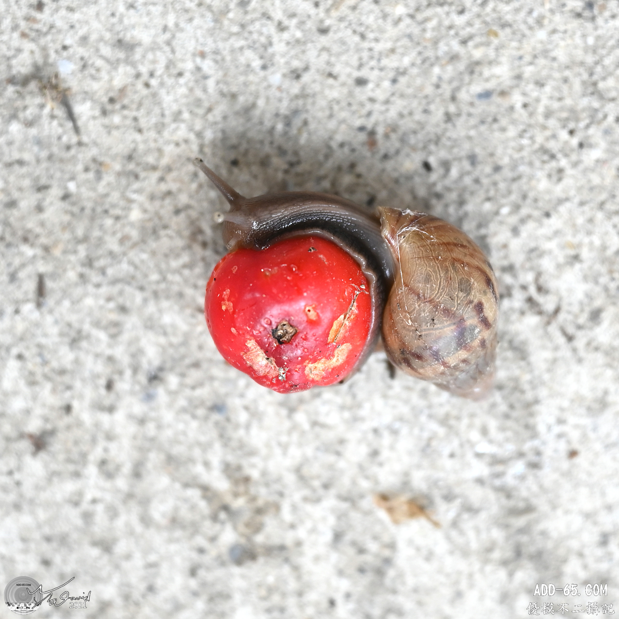 E_20210910_214206_DSC_9371