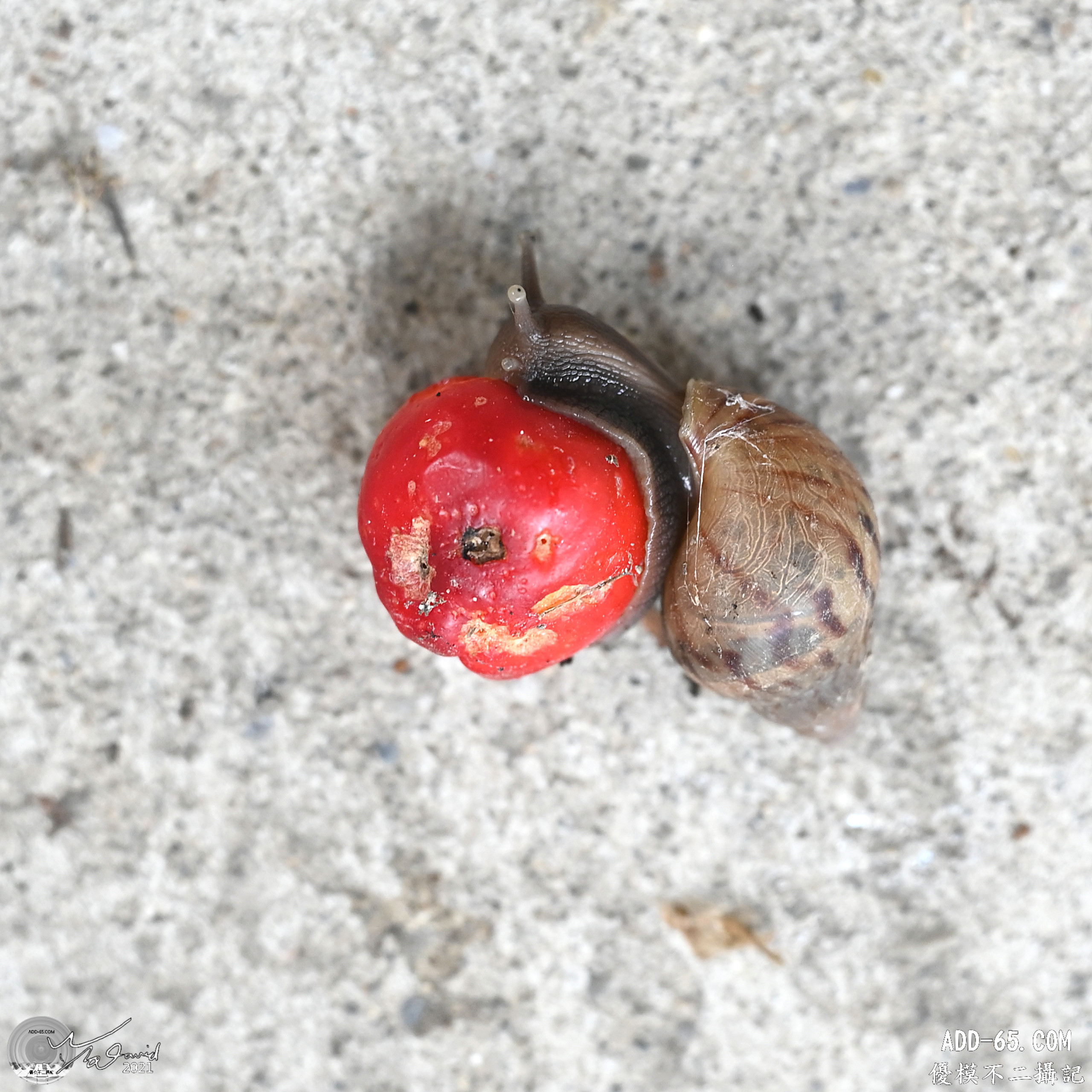 E_20210910_214309_DSC_9372