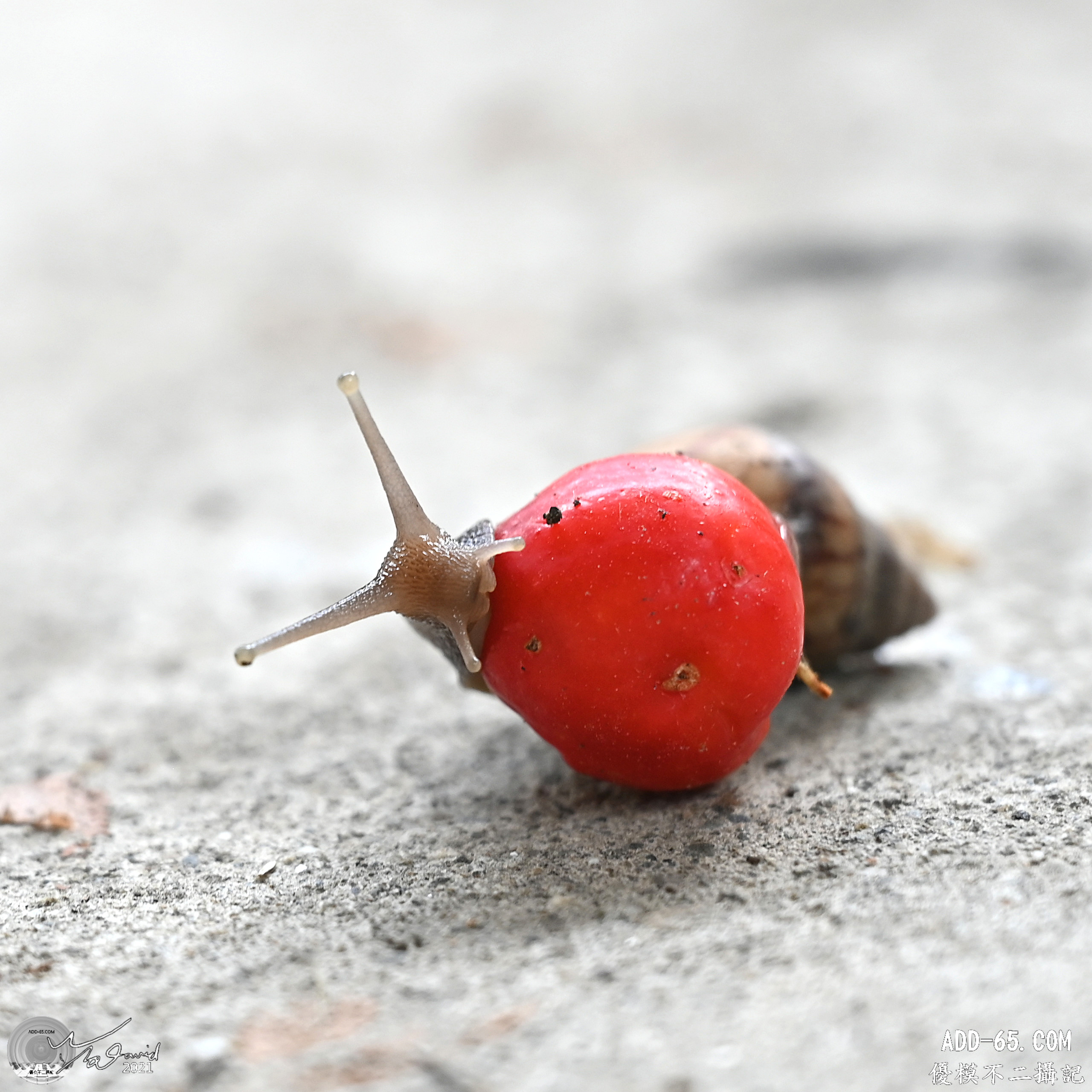 E_20210910_214428_DSC_9376