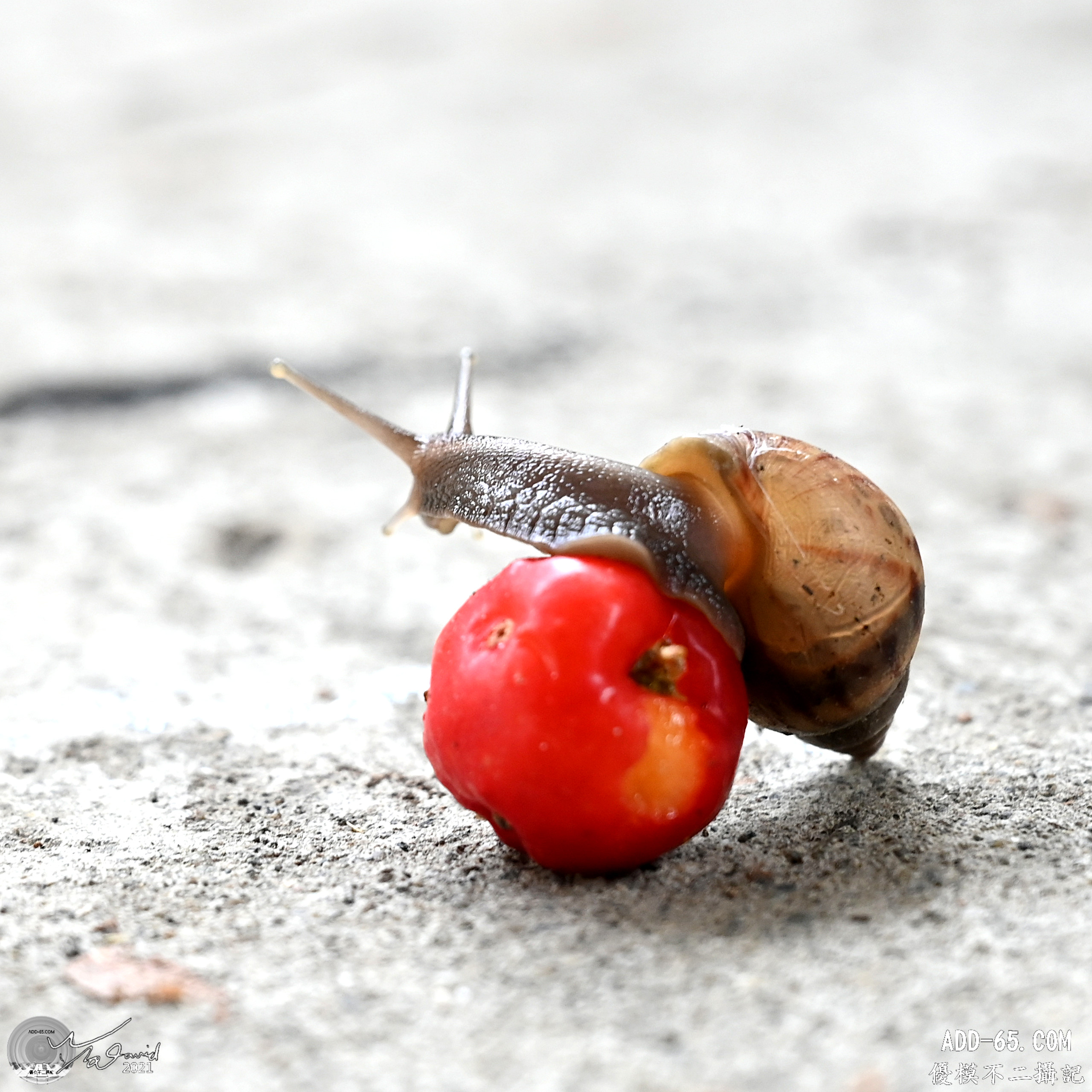 E_20210910_214722_DSC_9380