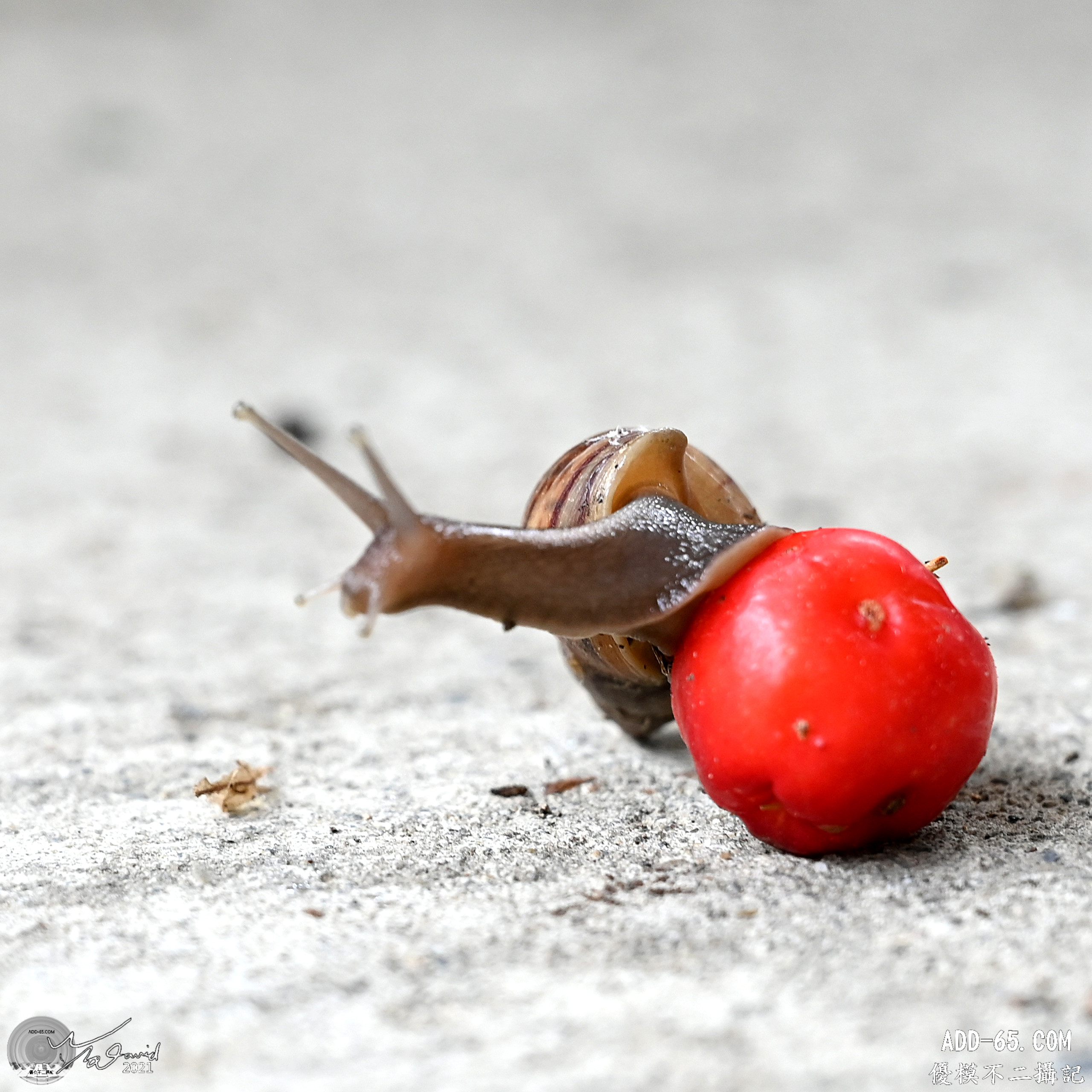 E_20210910_214813_DSC_9381