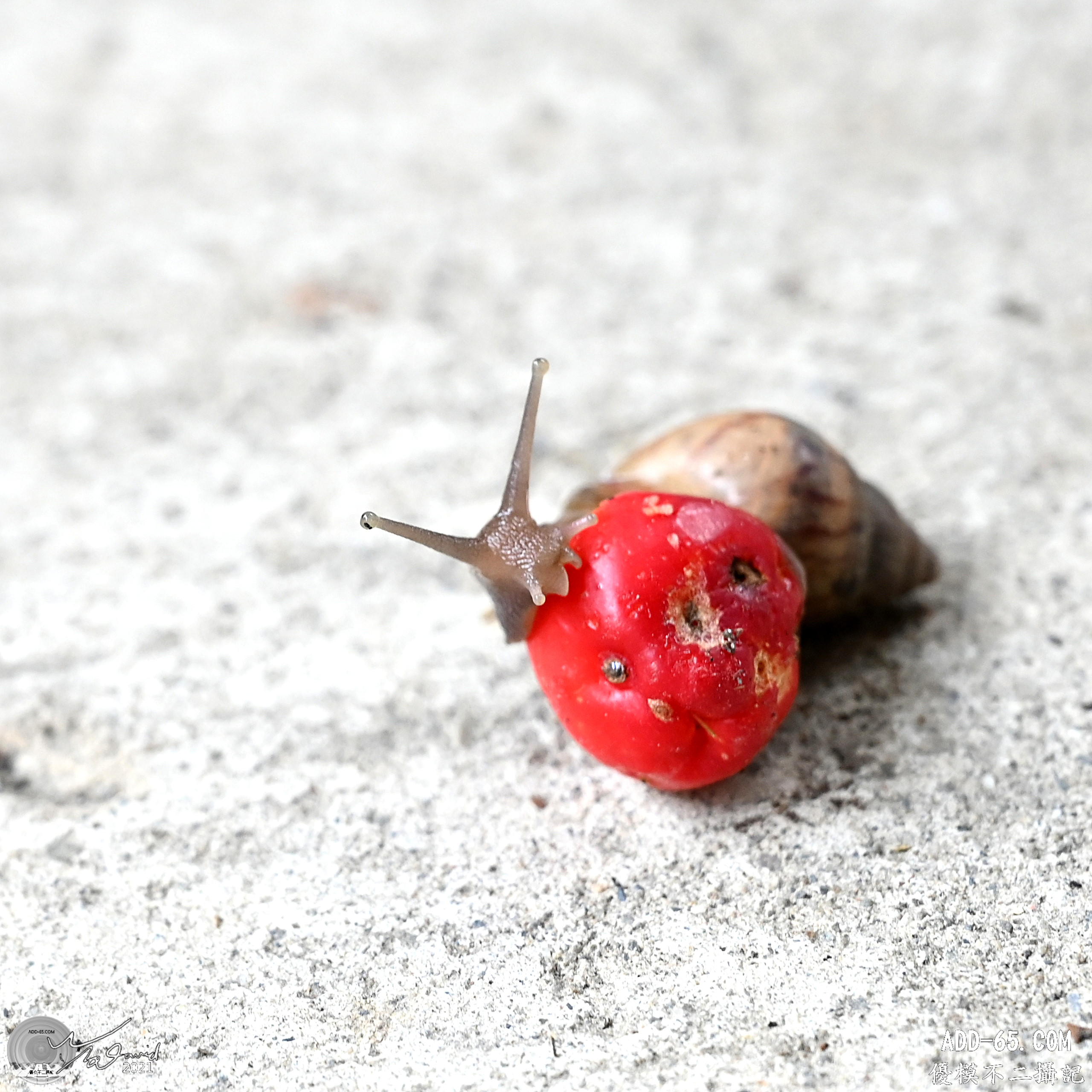 E_20210910_215006_DSC_9384