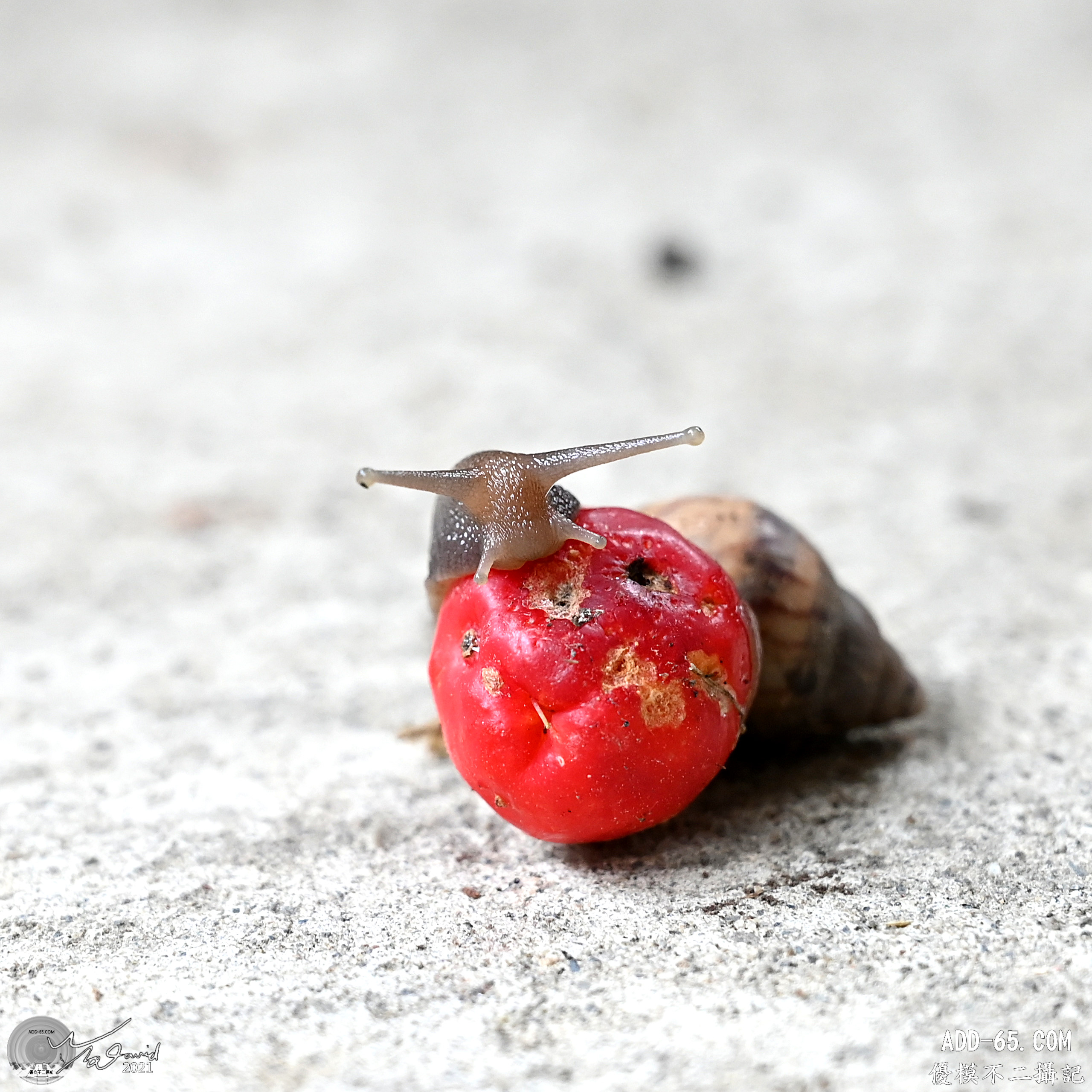 E_20210910_215051_DSC_9385