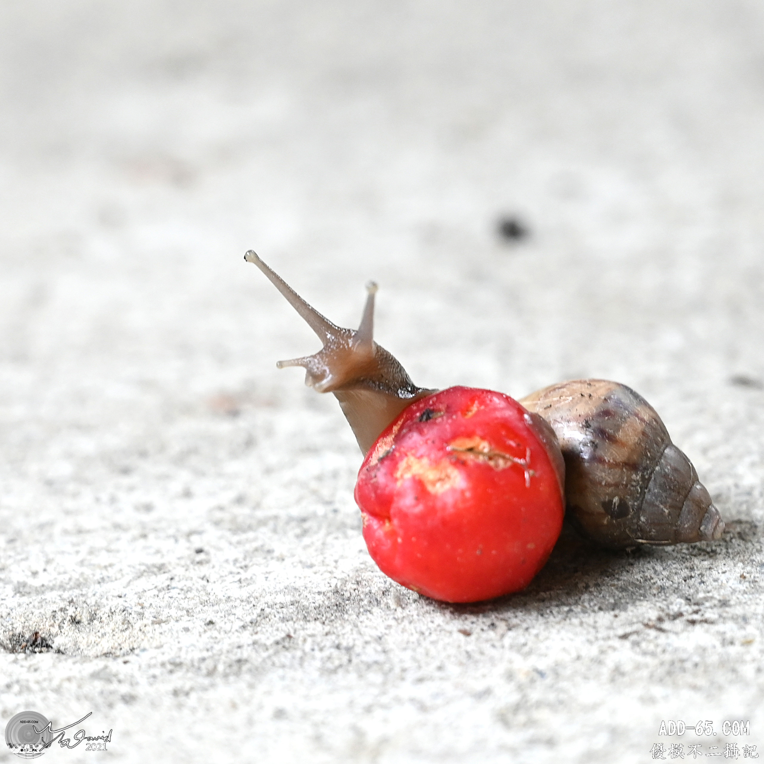 E_20210910_215153_DSC_9387