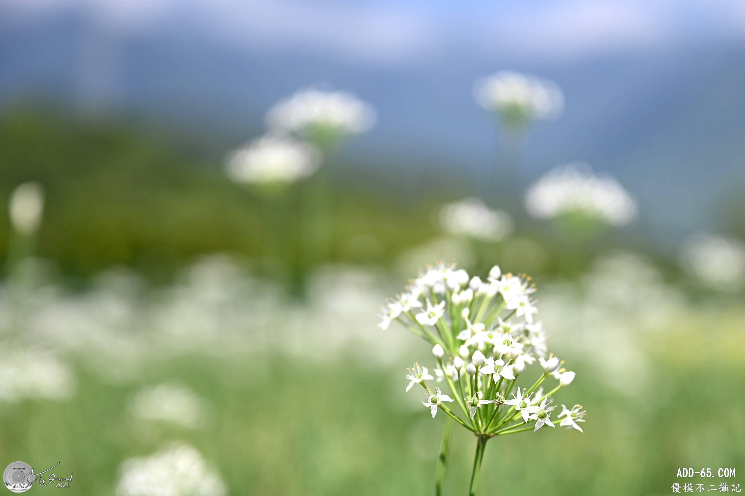 E_20211003_223821_DSC_9784