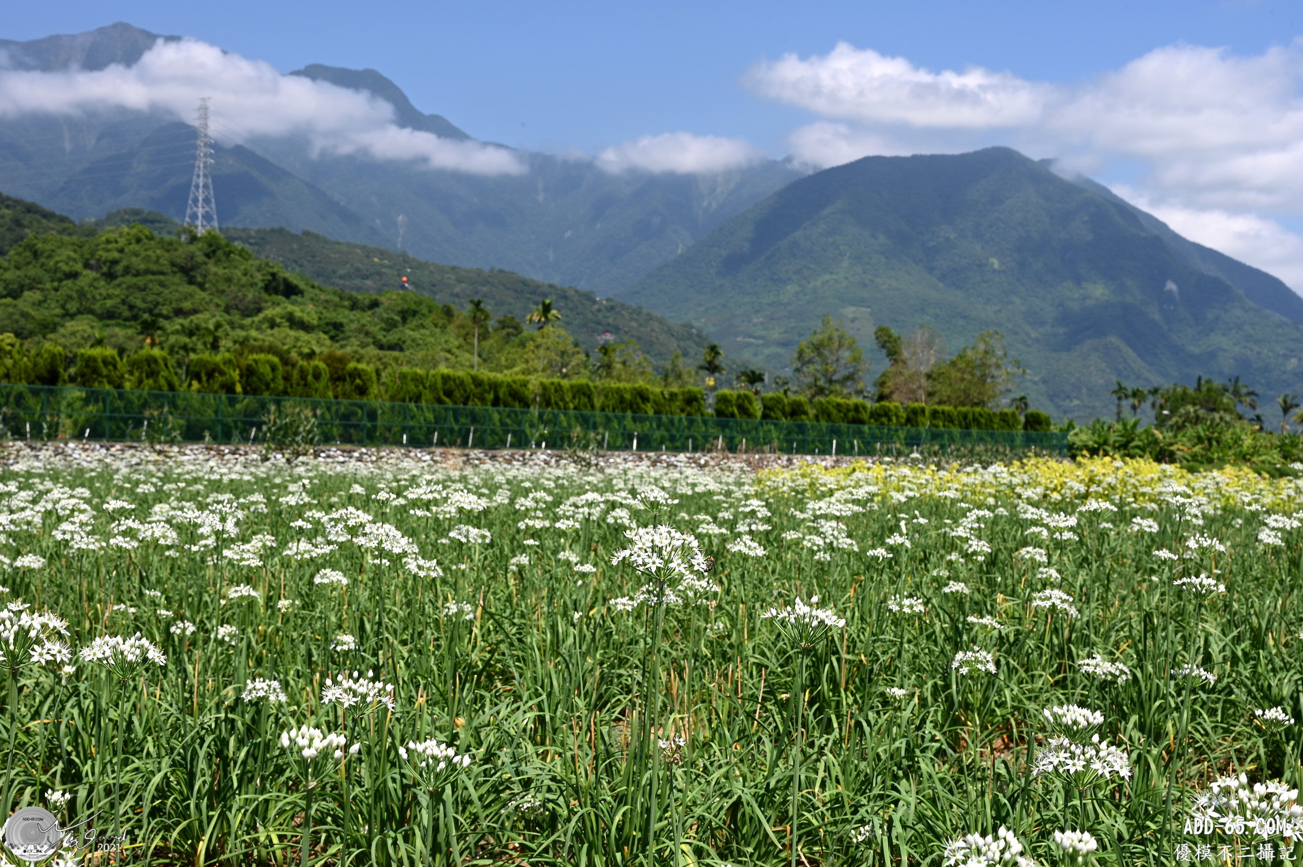 E_20211003_223844_DSC_9789