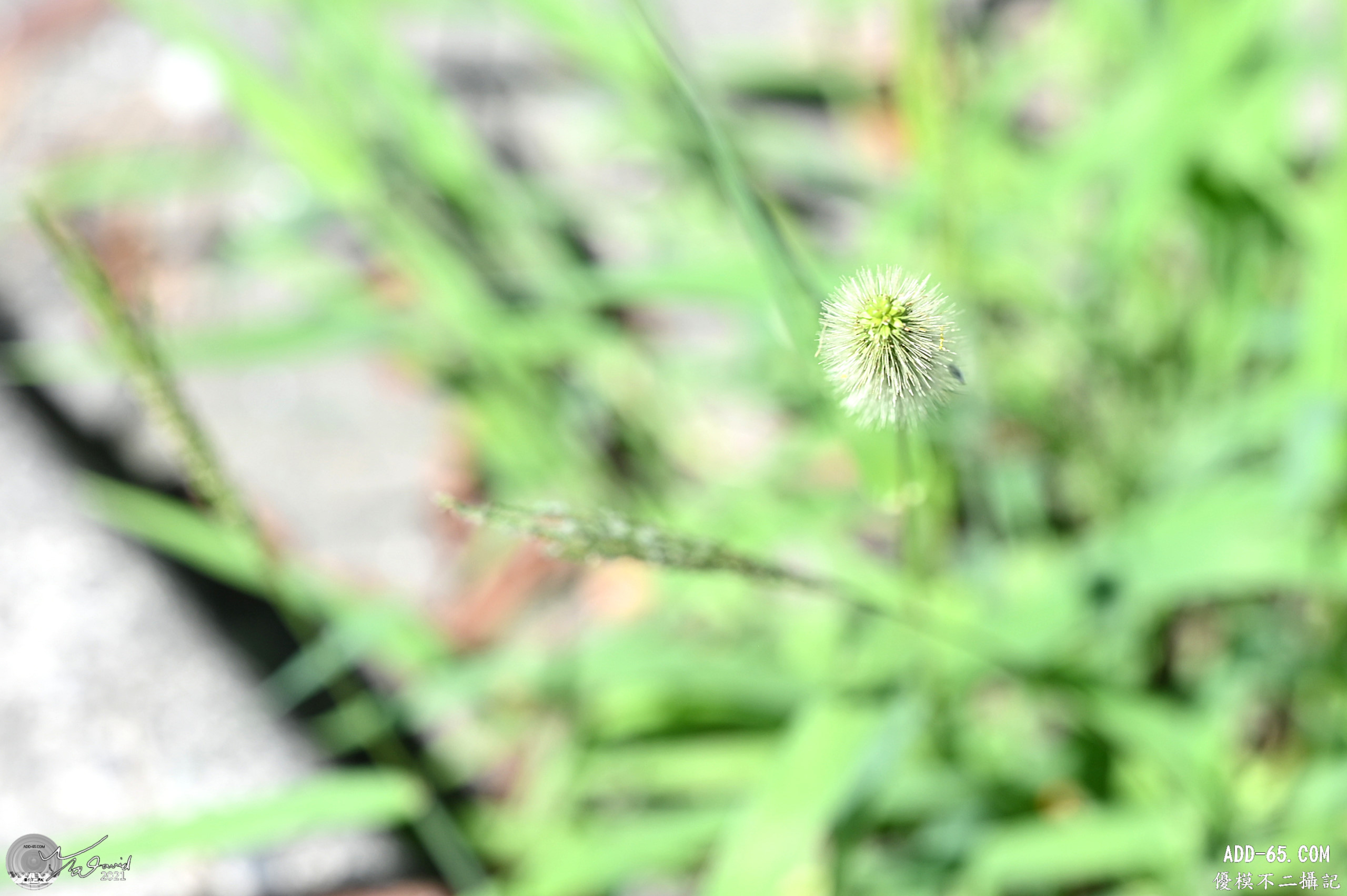 E_20211004_112313_DSC_9833