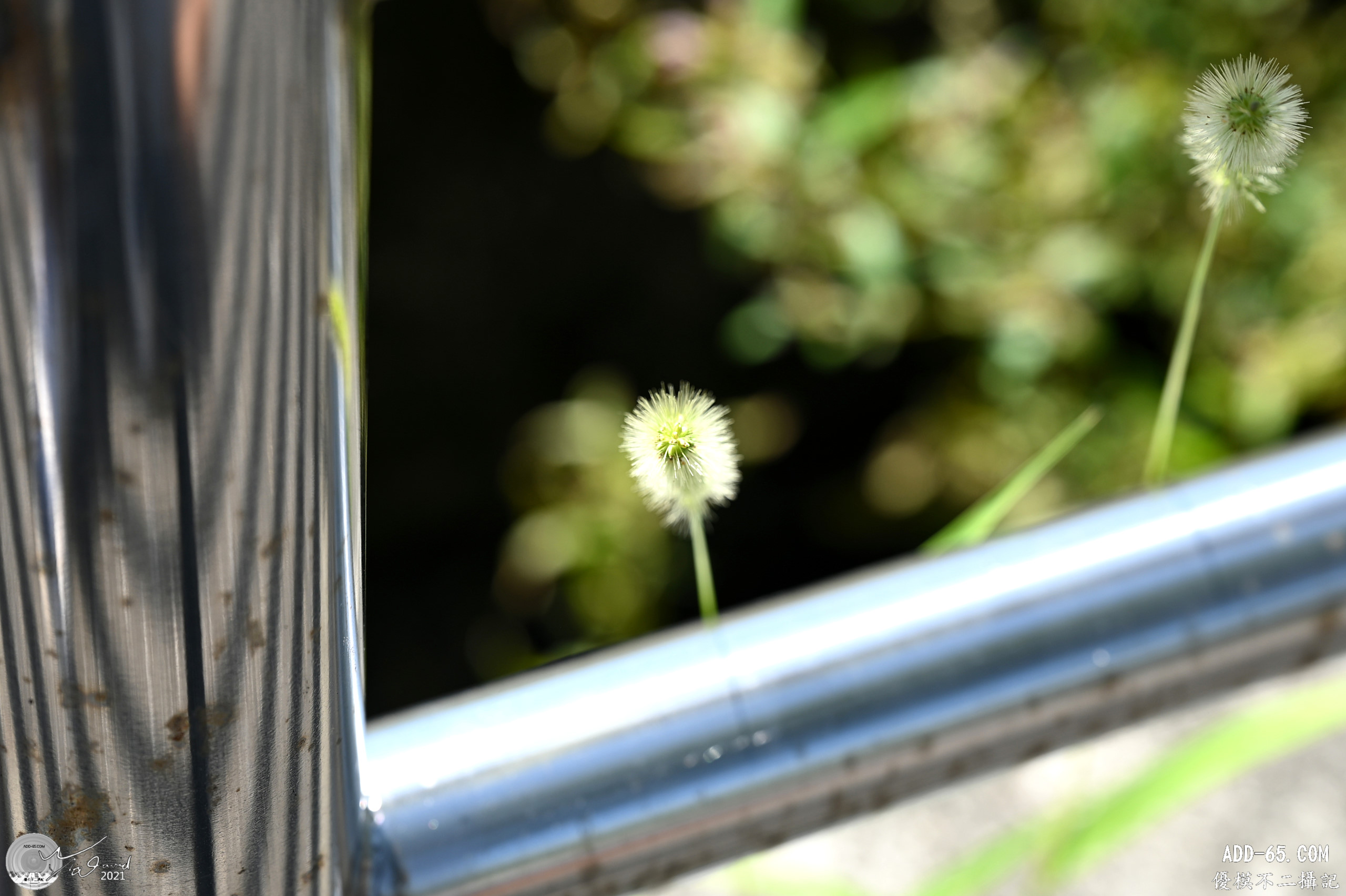 E_20211004_112352_DSC_9834