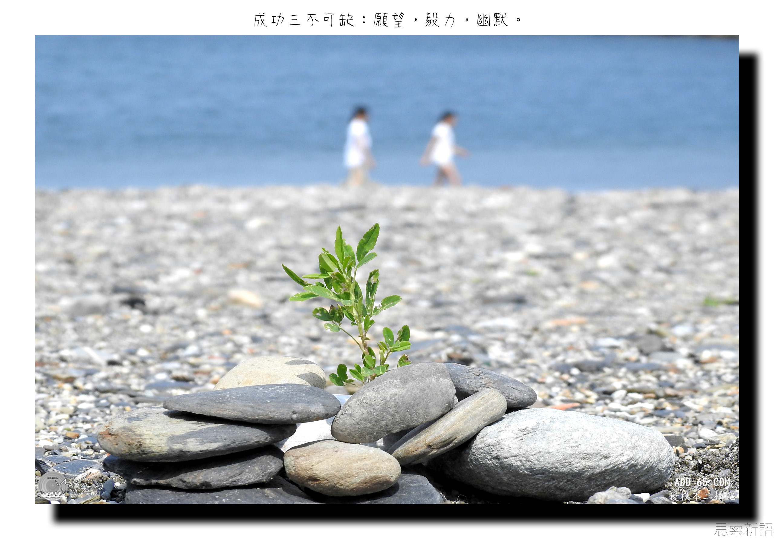 成功的要素