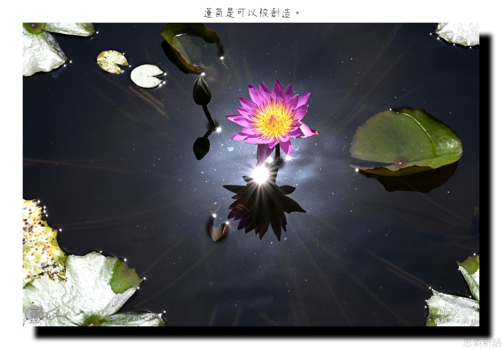 E_20211003_224111_DSC_9795_W