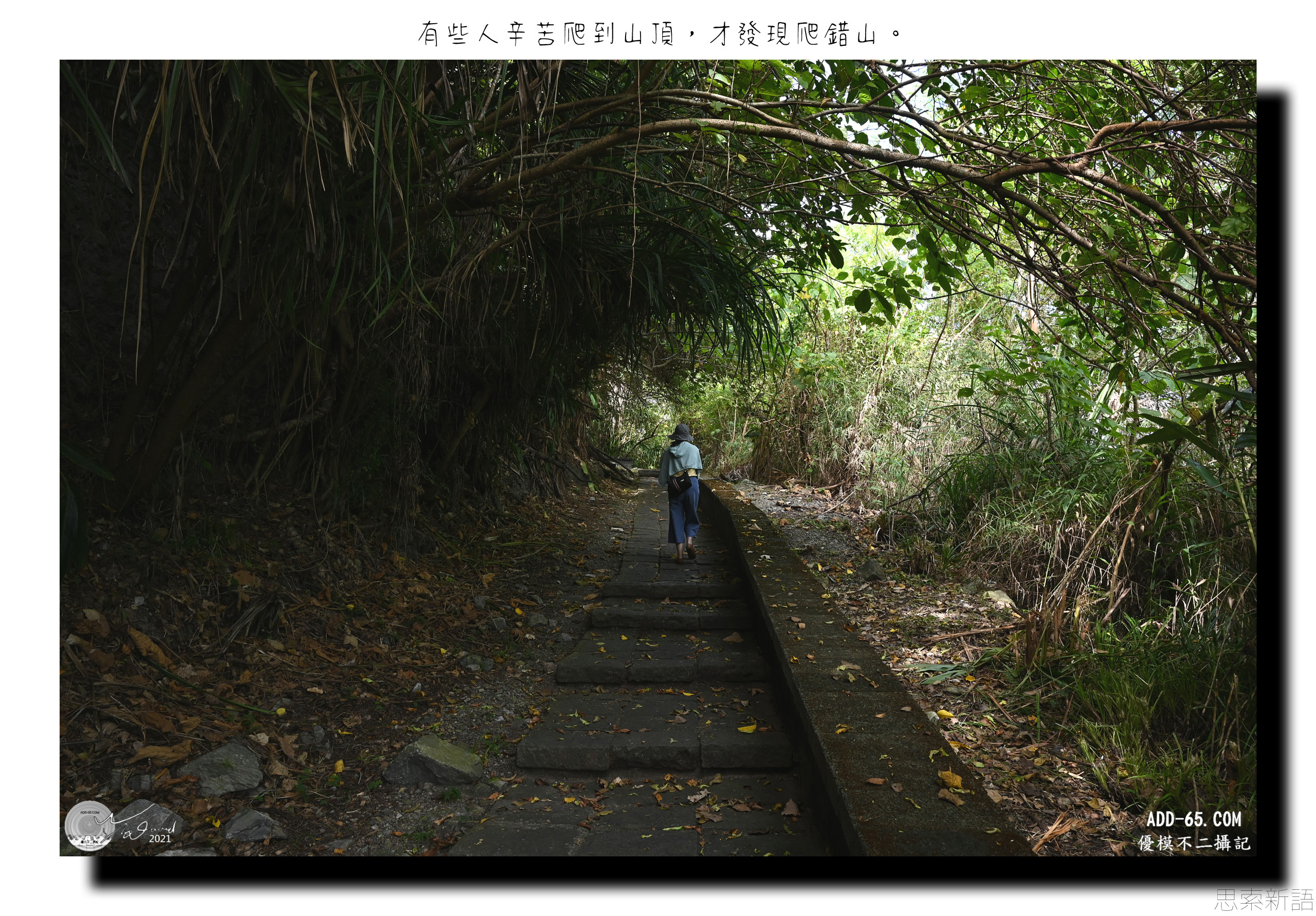 見樹不見林
