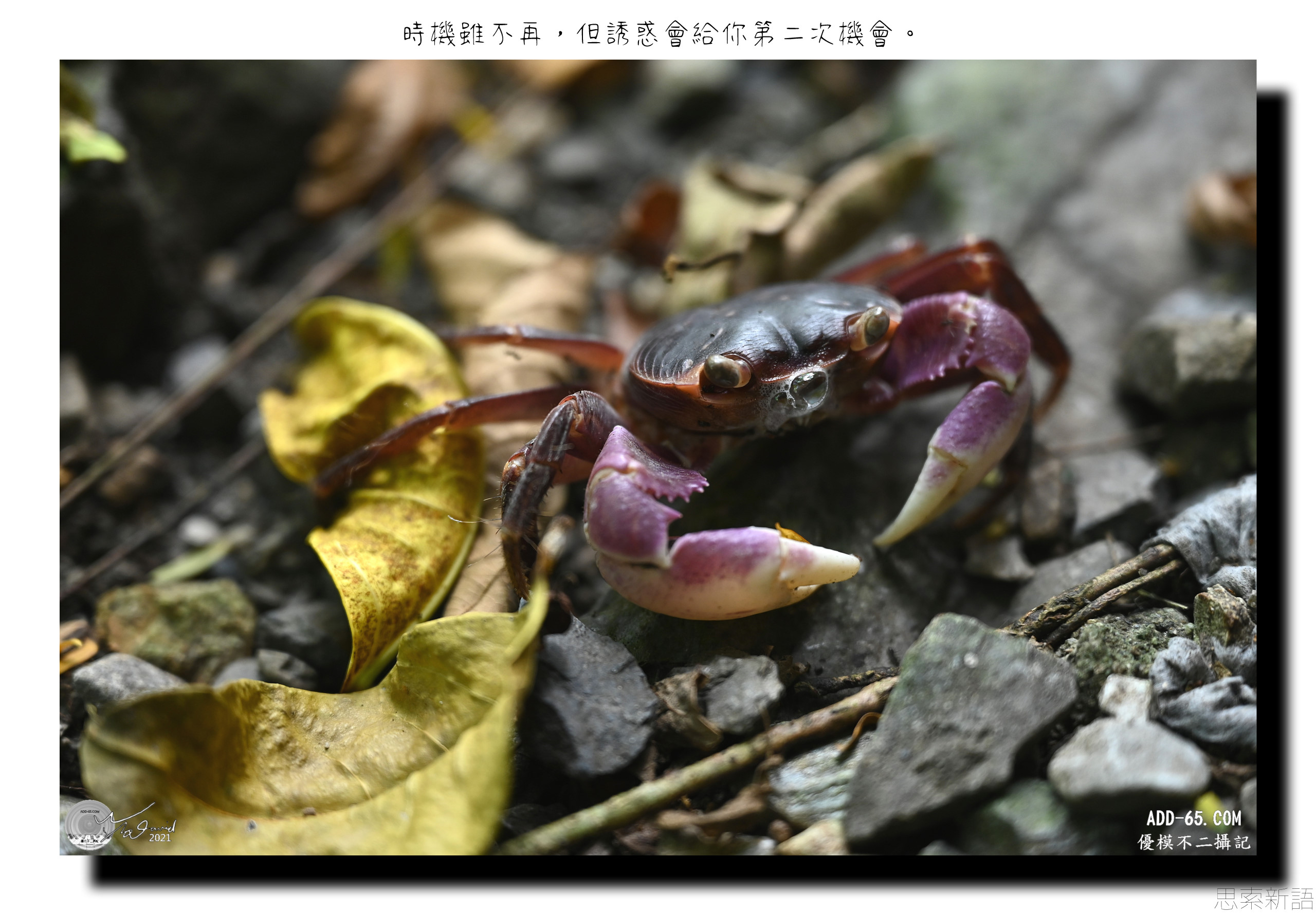 誘惑
