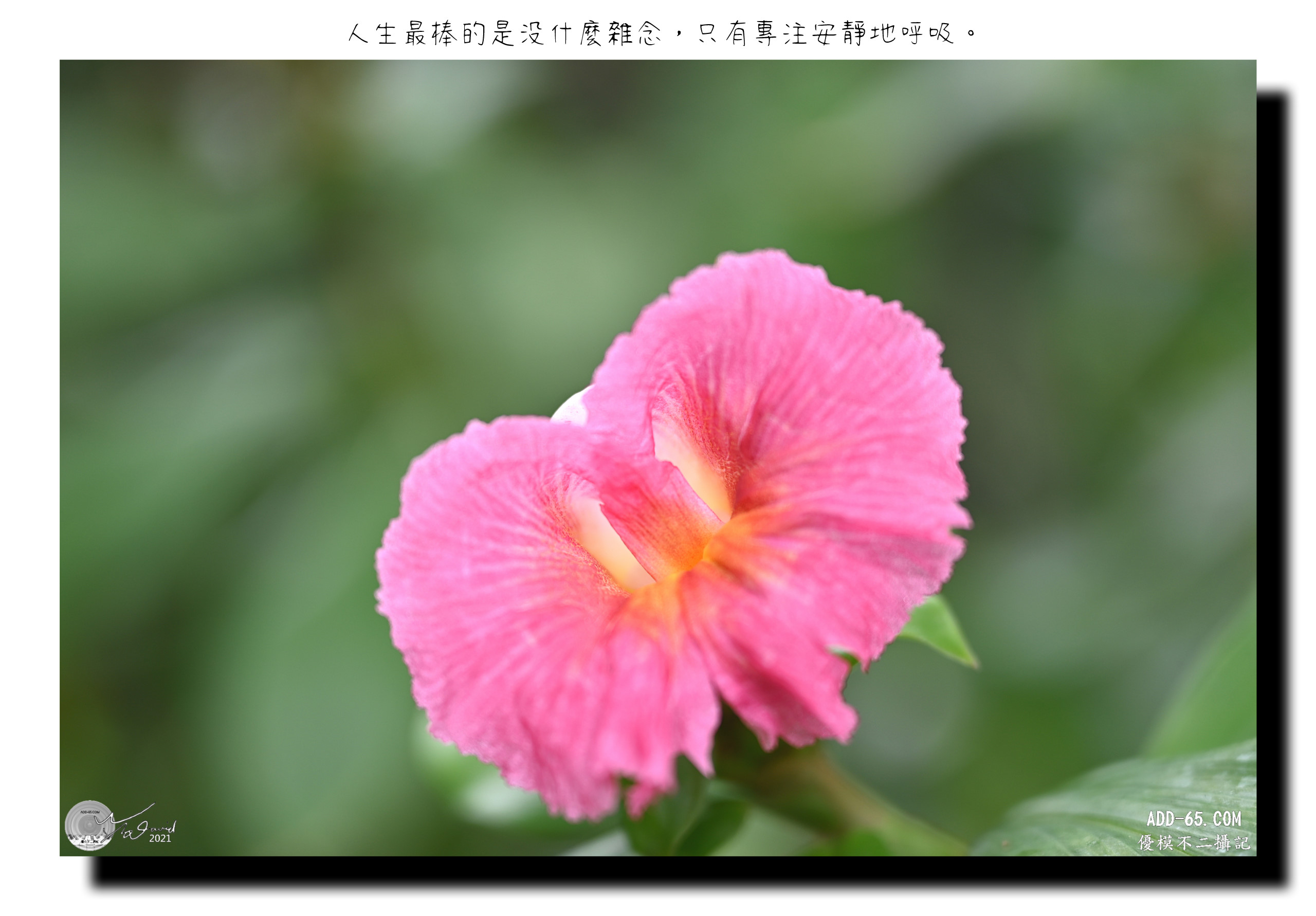 呼吸